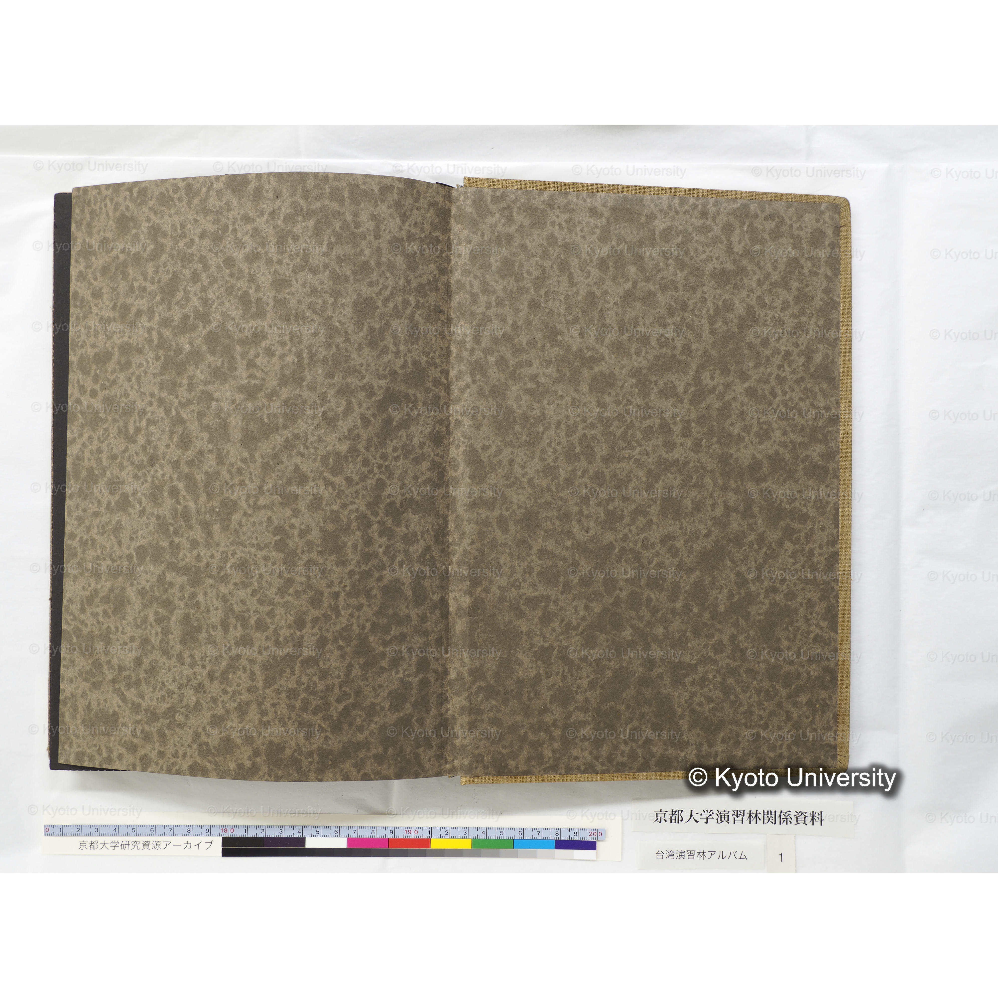 [台湾演習林アルバム(茶色表紙)] (57)