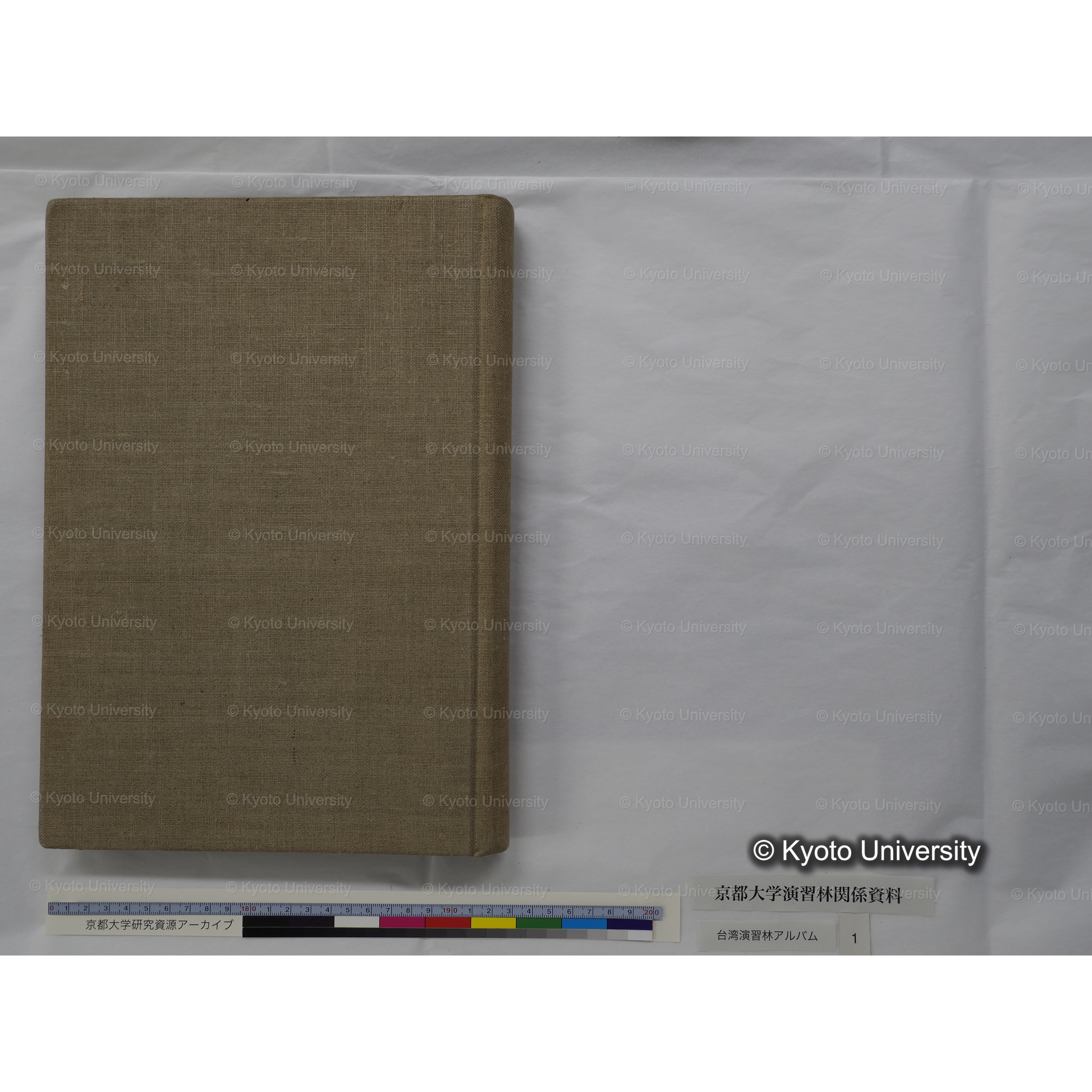 [台湾演習林アルバム(茶色表紙)] (58)