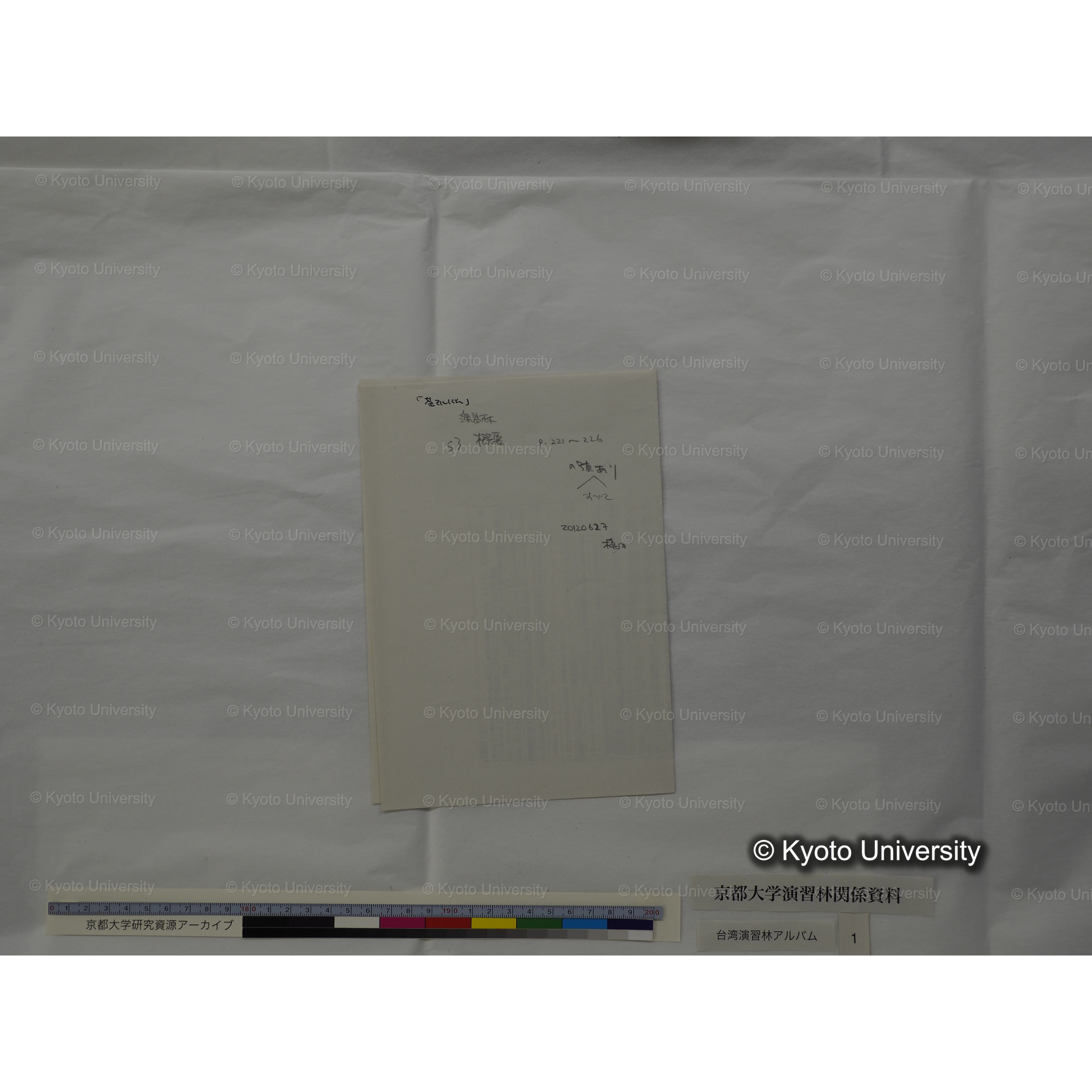 [台湾演習林アルバム(茶色表紙)] (59)