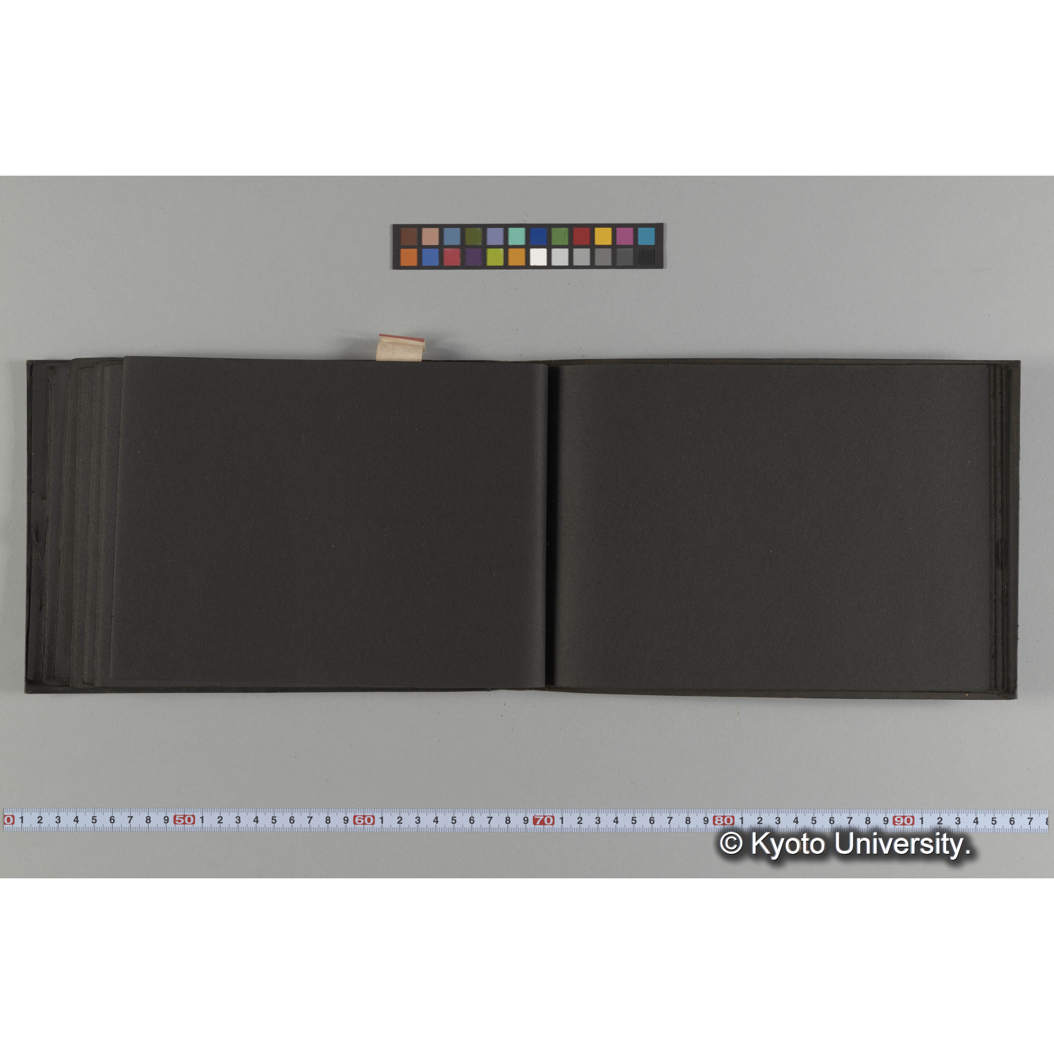 豊田黒アルバム (36)