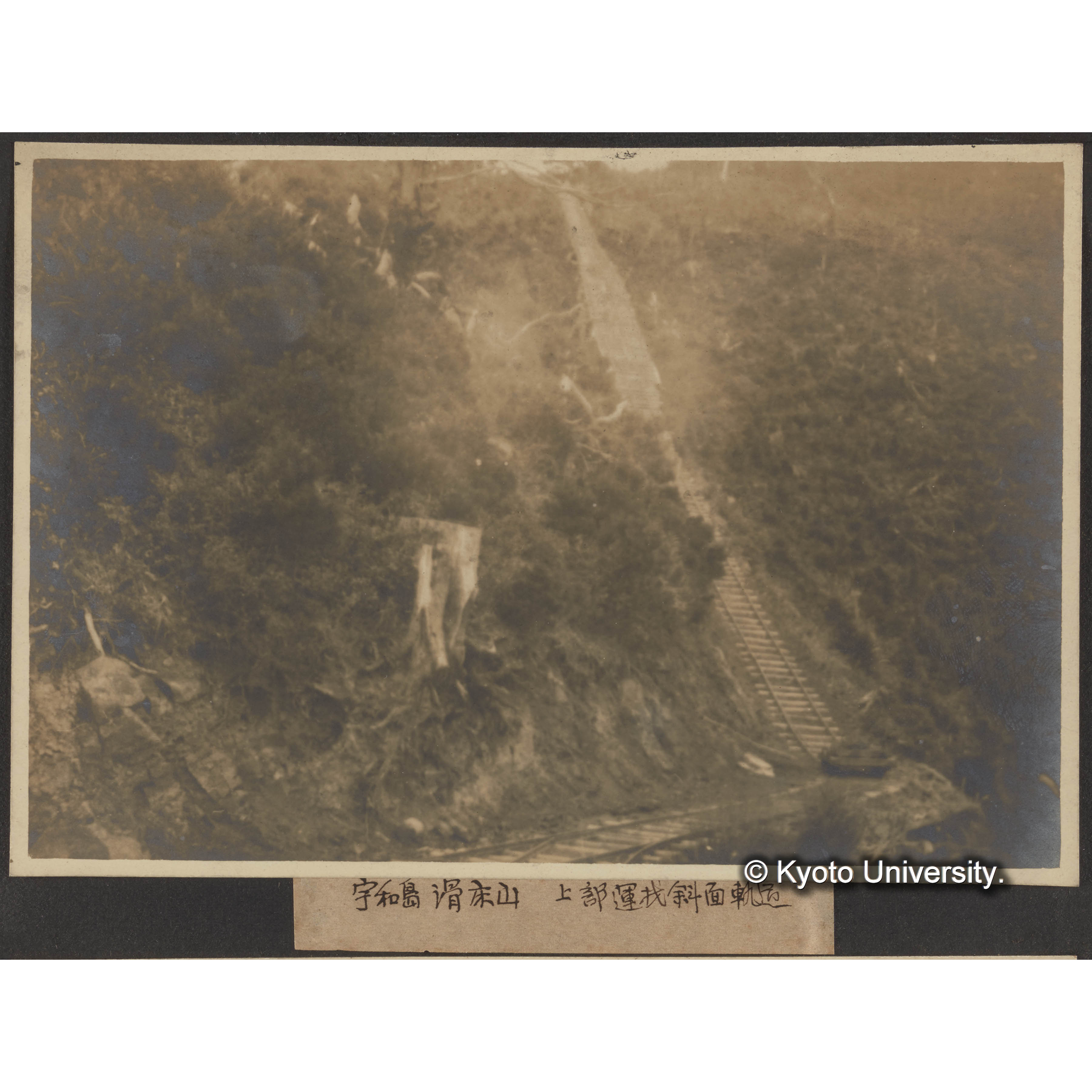 宇和島 滑床山 上部運材斜面軌道 (1)