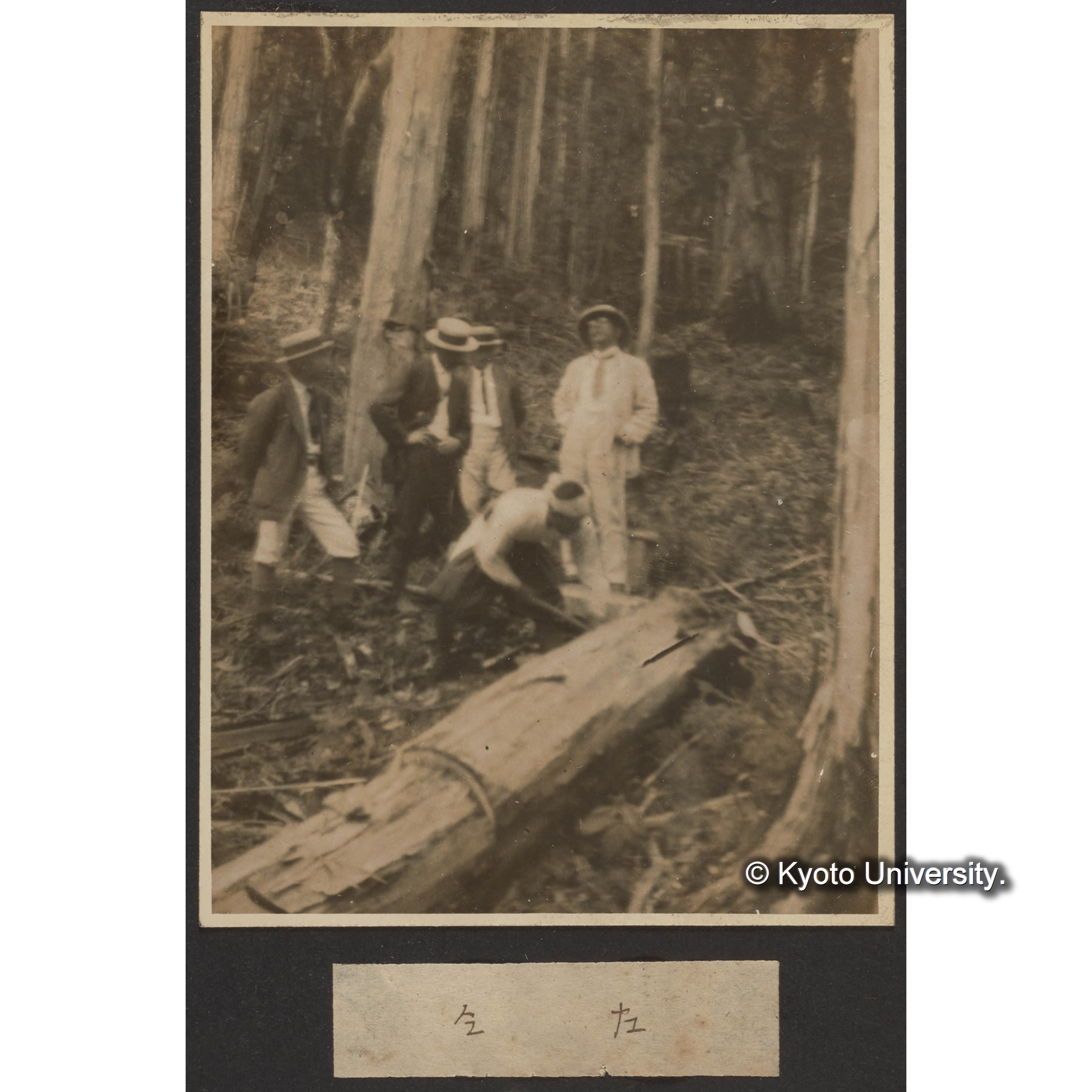 伐木作業現場・荒木〔寅三郎〕総長 (1)