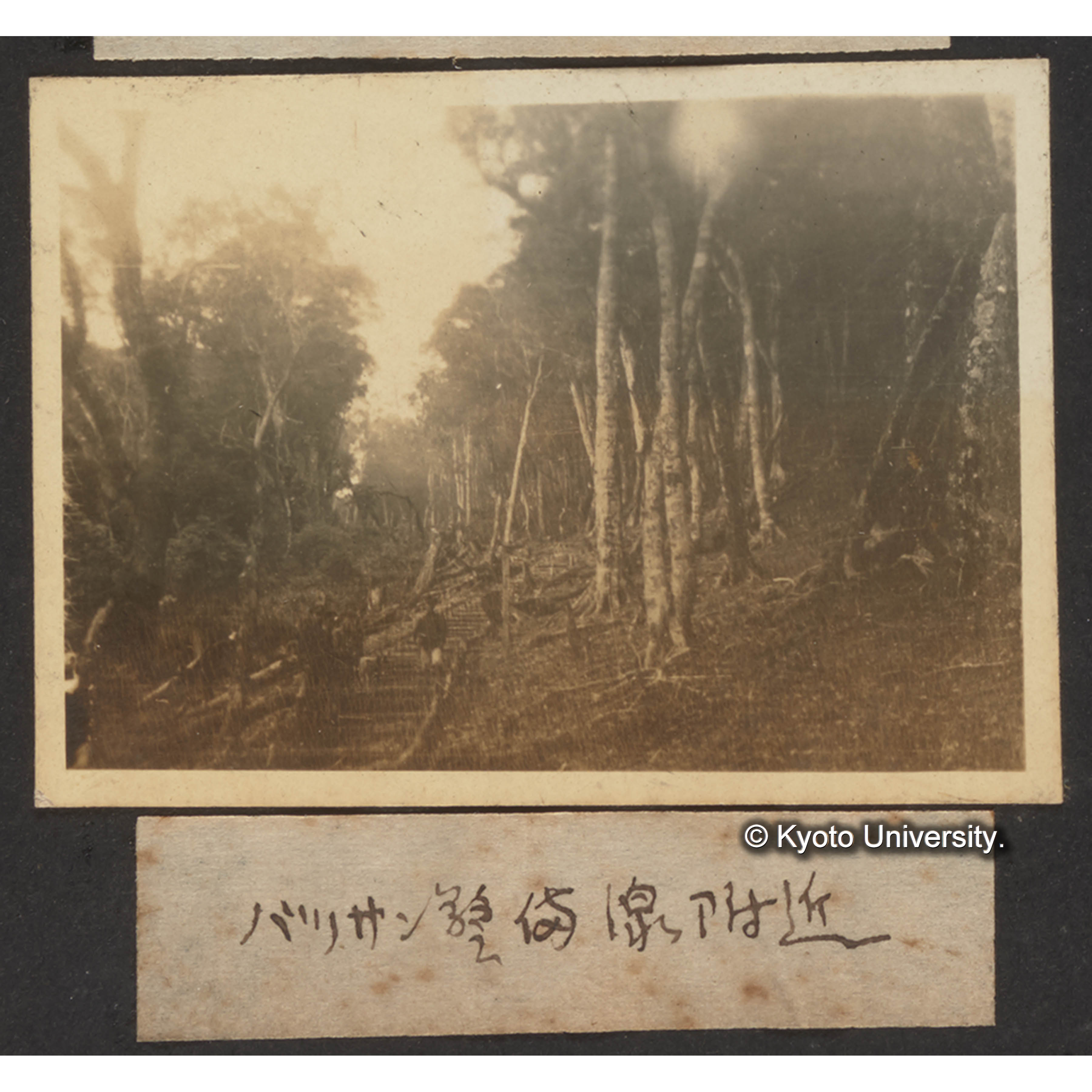 バリサン警備線附近 (1)