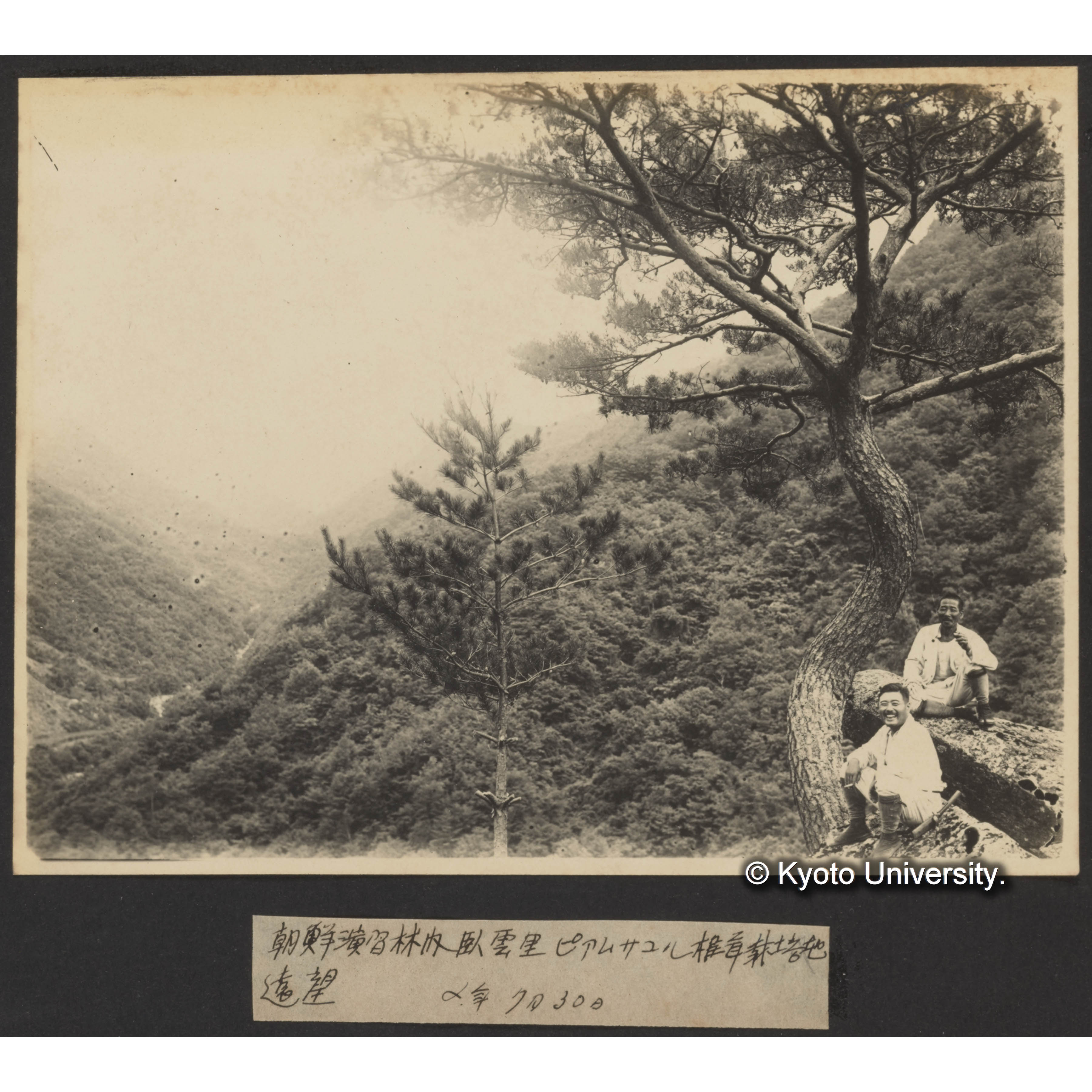 朝鮮演習林内臥雲里ピアムサコル椎茸栽培地遠望 (1)