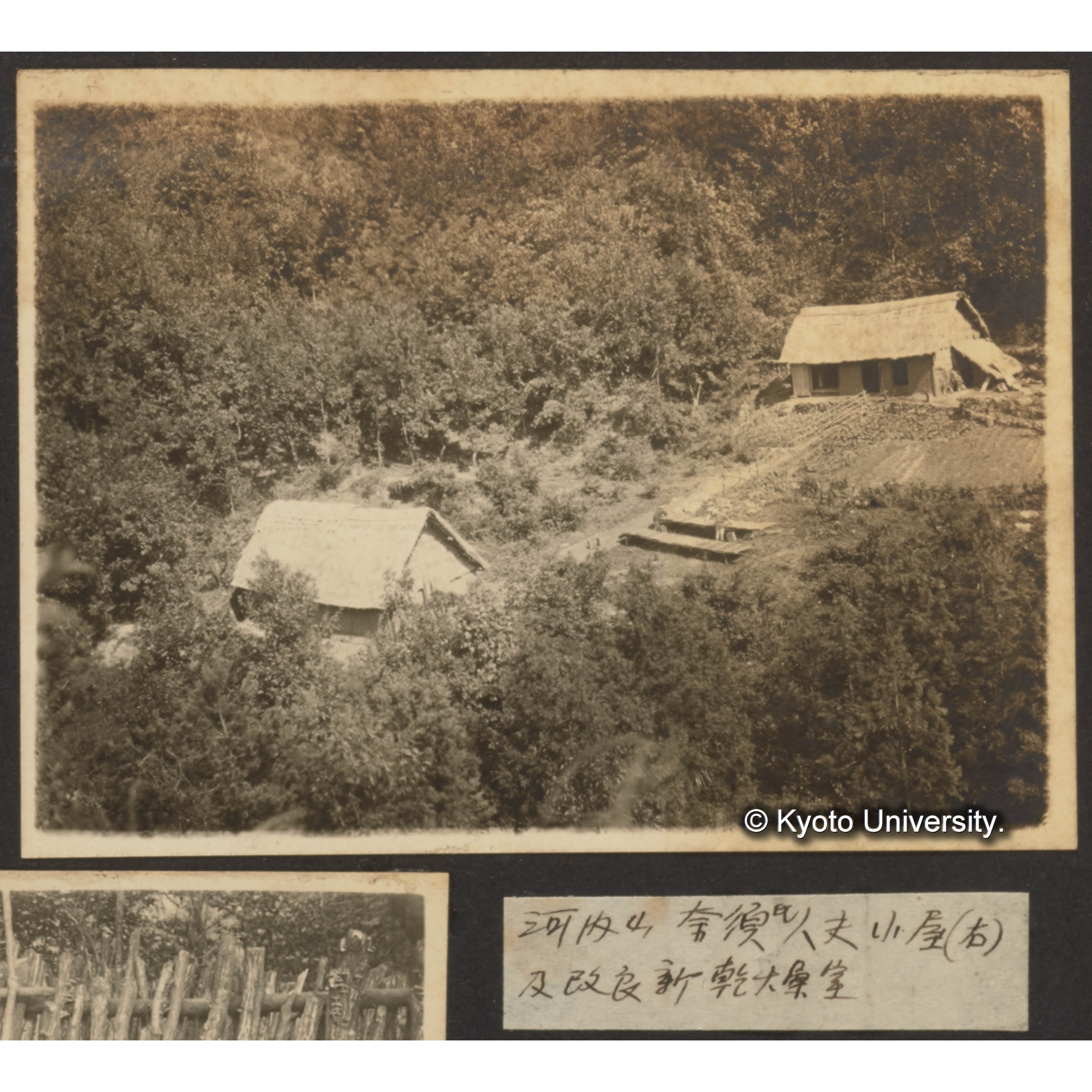 今市村河内山椎茸採集の光景 (1)