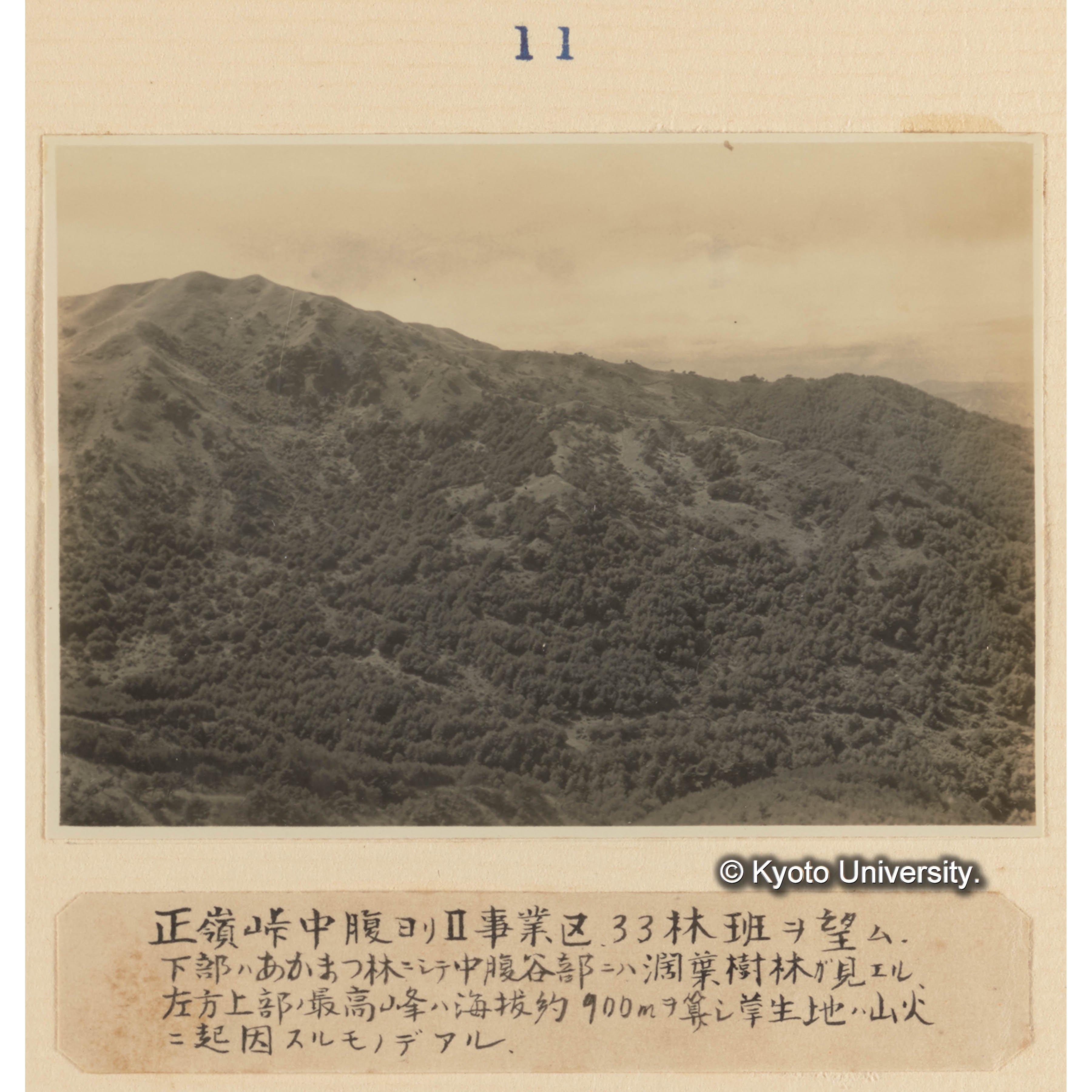 正嶺峠中腹よりII事業区。33林班を望む／下部はアカマツ林にして中腹谷部には闊葉樹林が見える、左方上部の最高峰は海抜約900mを算し草生地は山火に起因するものである (1)