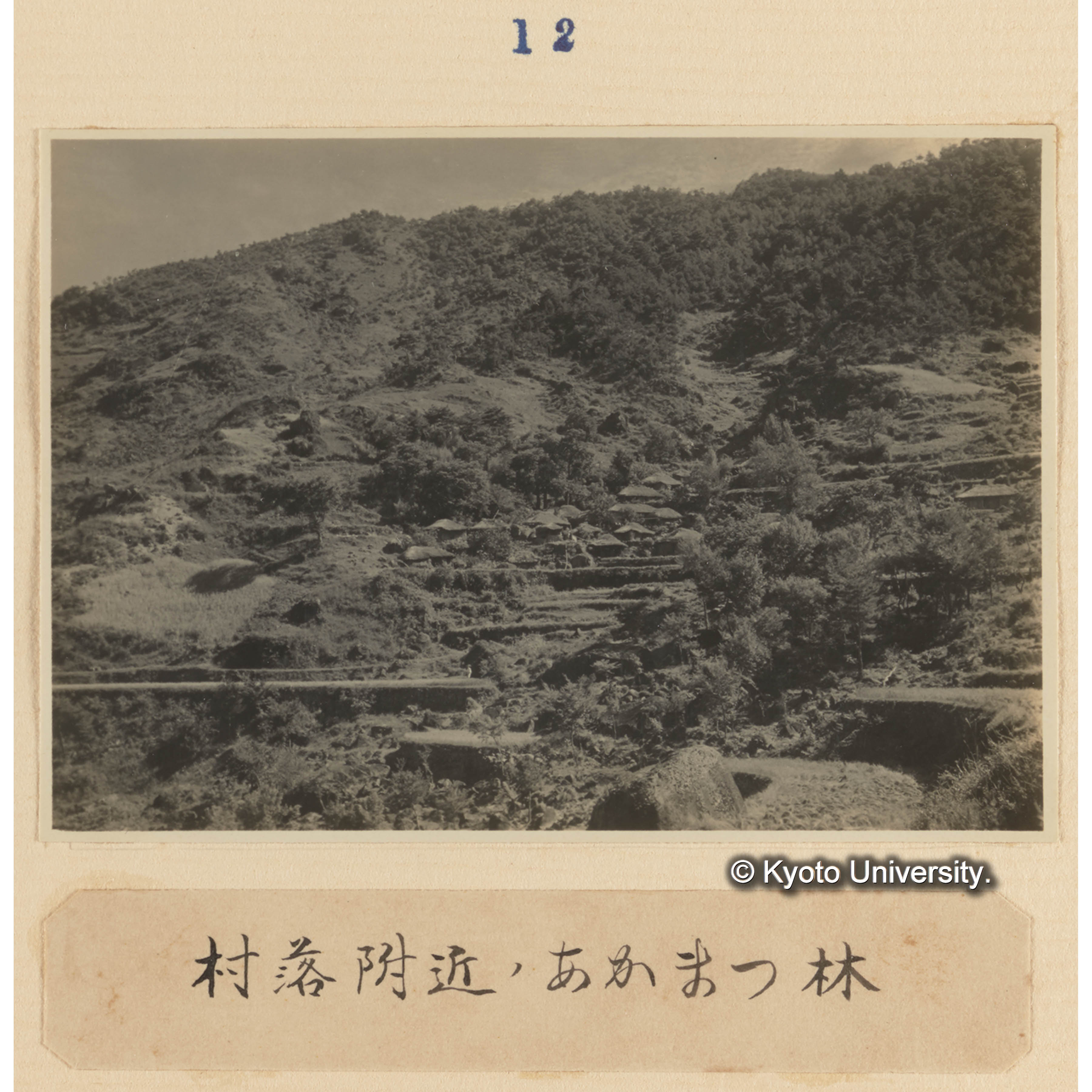 村落附近のアカマツ林 (1)