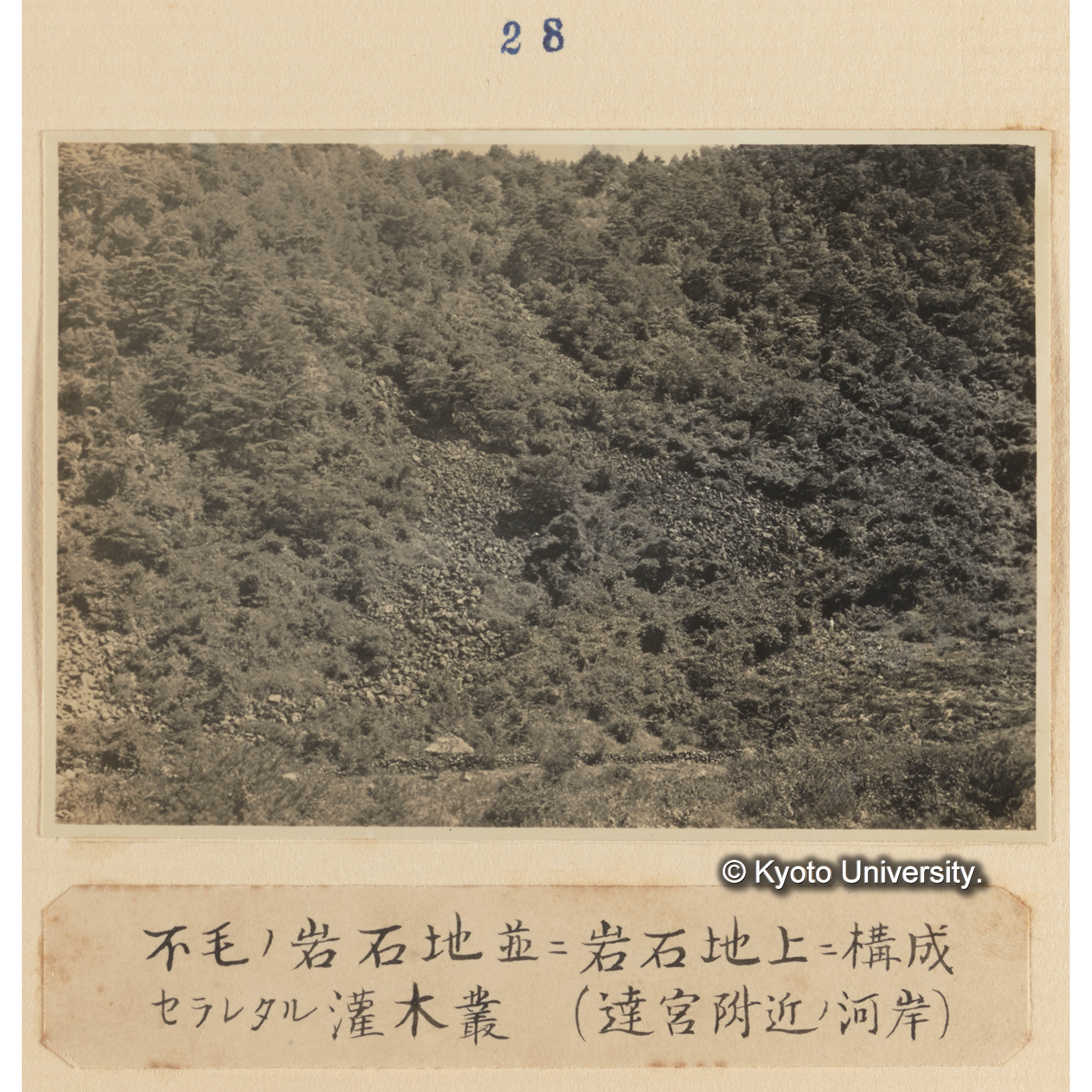 不毛の岩石地並に岩石地上に構成さられたる灌木叢（達宮附近の河岸） (1)
