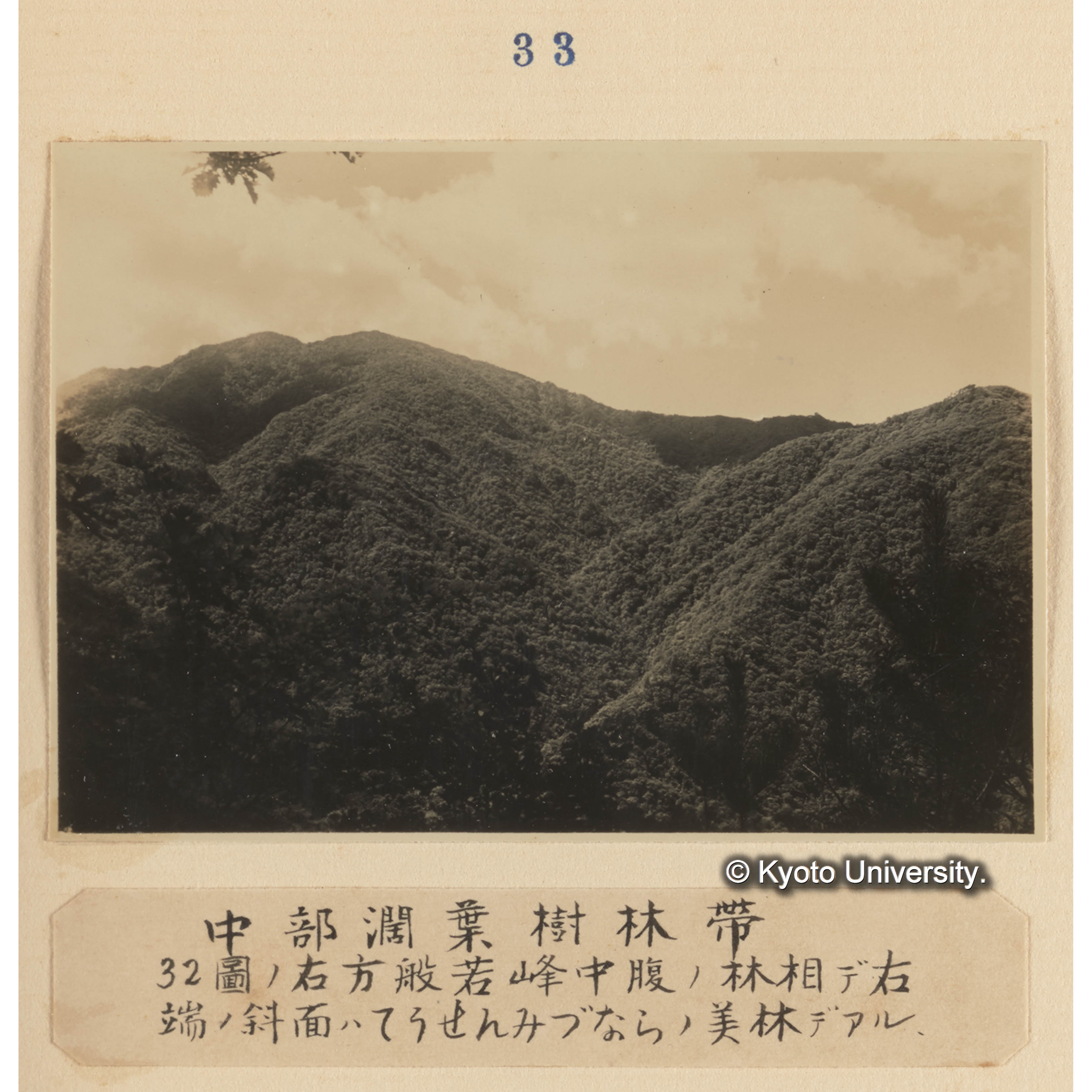 中部闊葉樹林帶／32図の右方般若峰中腹の林相で右端の斜面はチョウセンミズナラの美林である。 (1)