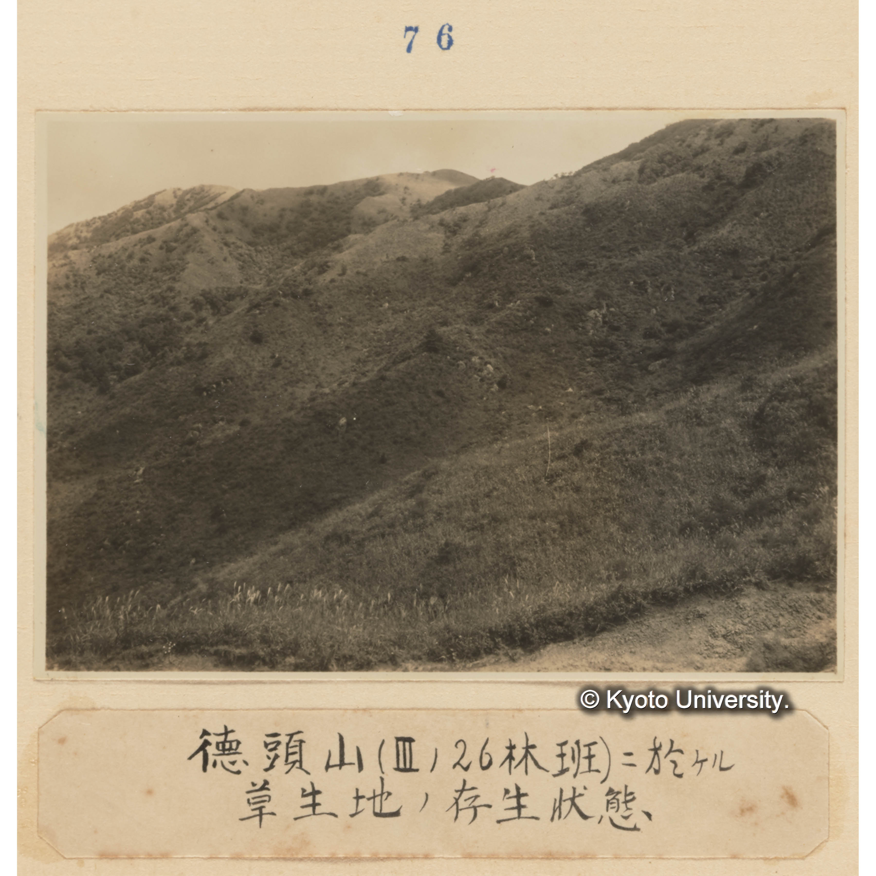 德頭山（IIIの26林班）に於ける草生地の存生状態 (1)