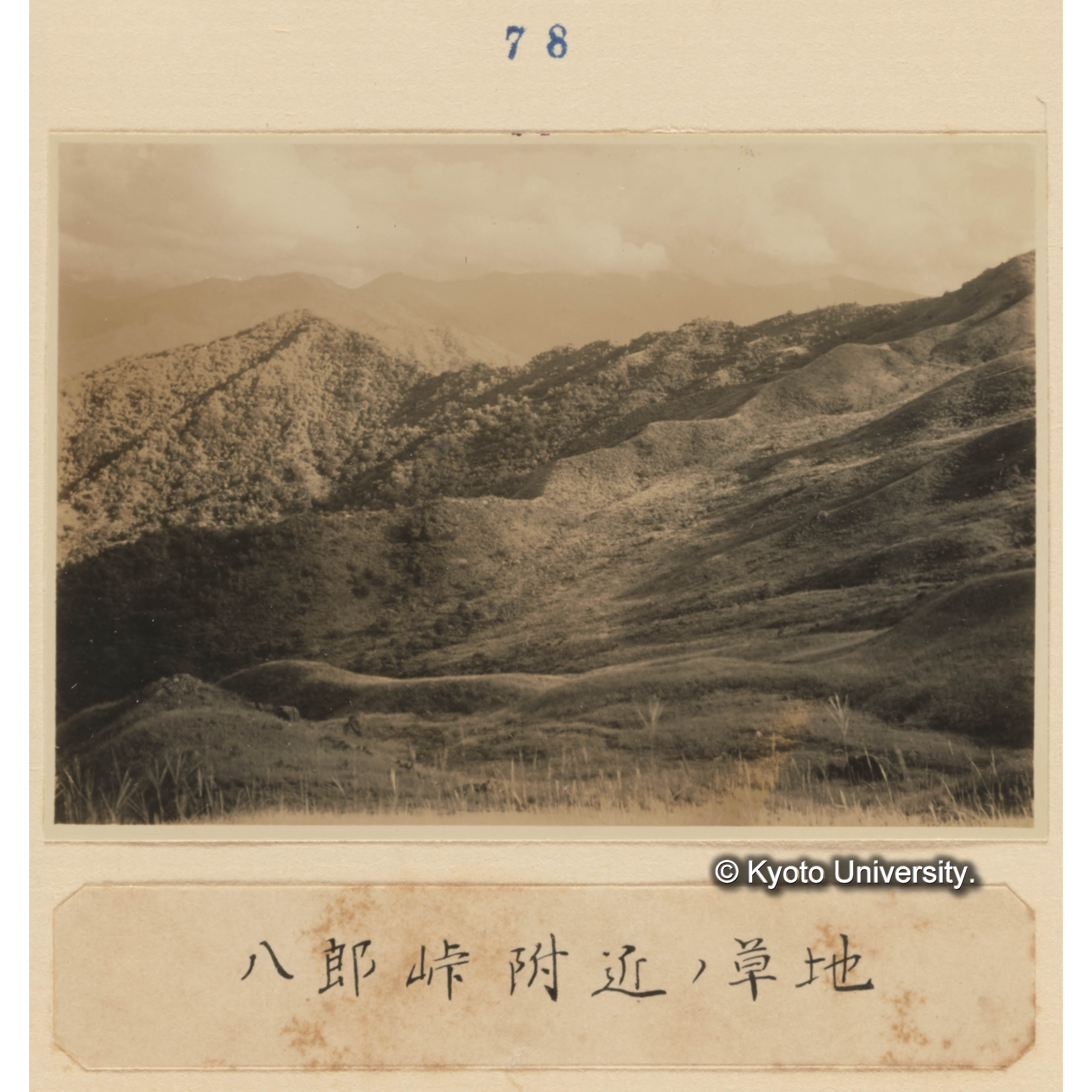 八郎峠附近の草地 (1)