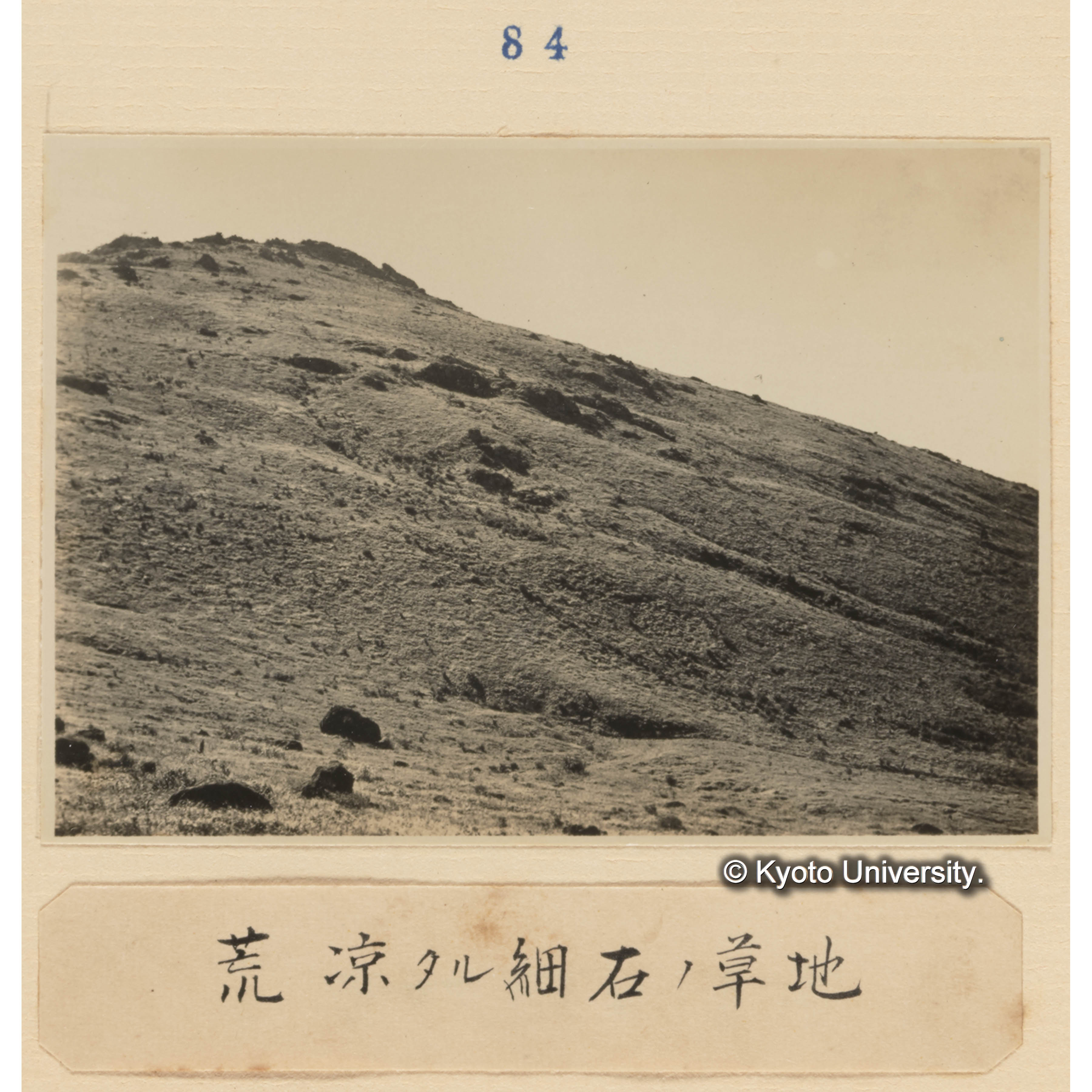 荒涼たる細石の草地 (1)