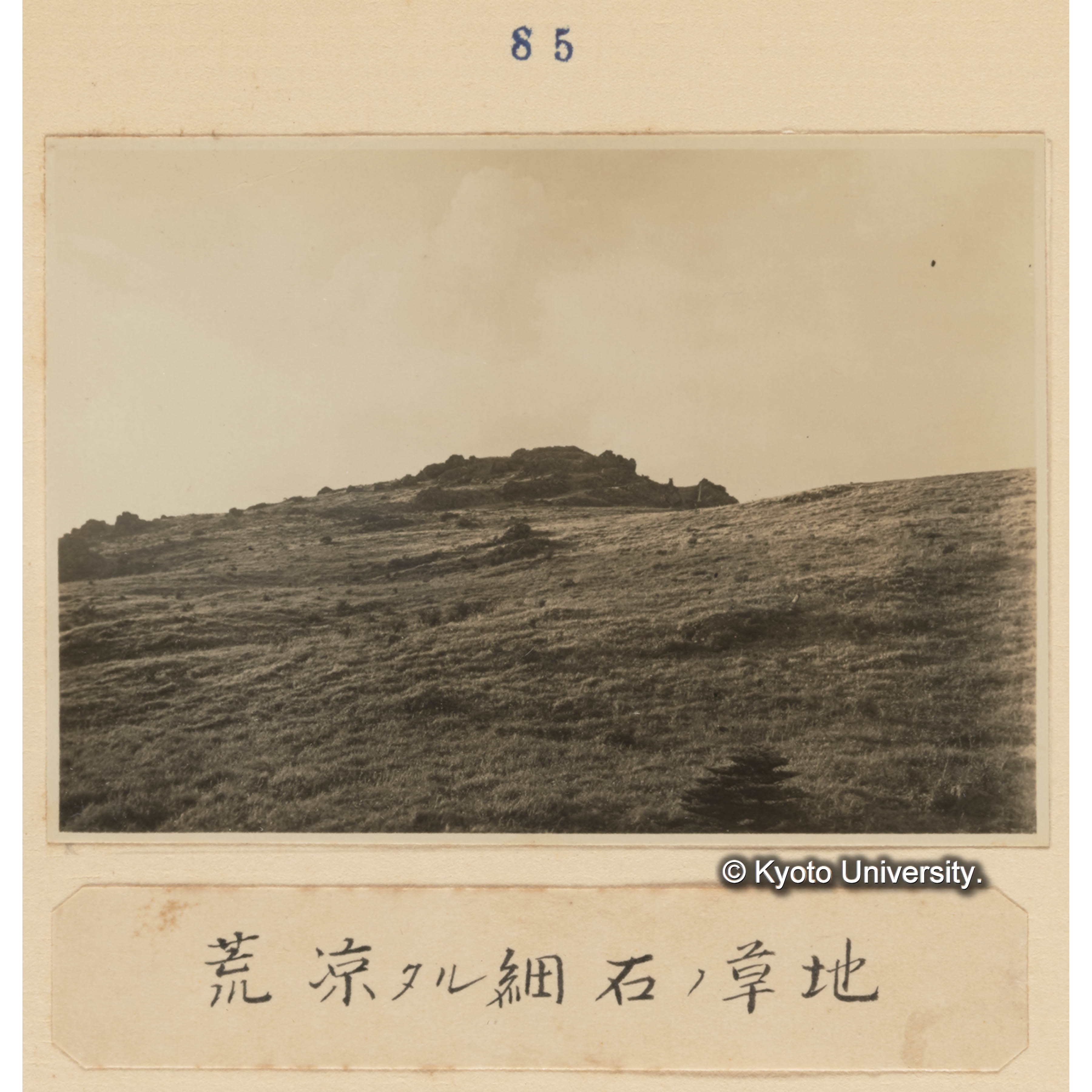 荒涼たる細石の草地 (1)