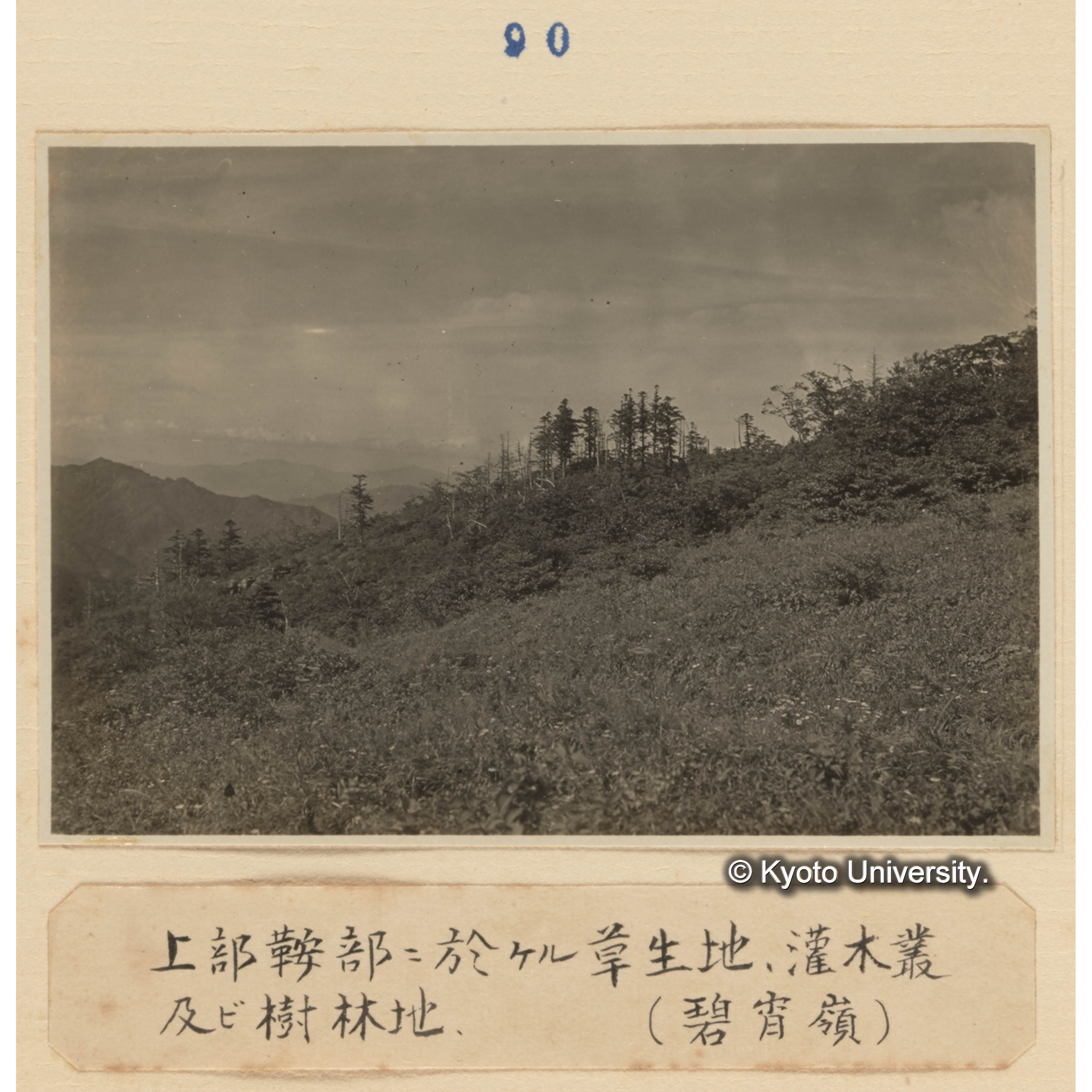 上部鞍部に於ける草生地、灌木叢及び樹林地（碧宵嶺） (1)