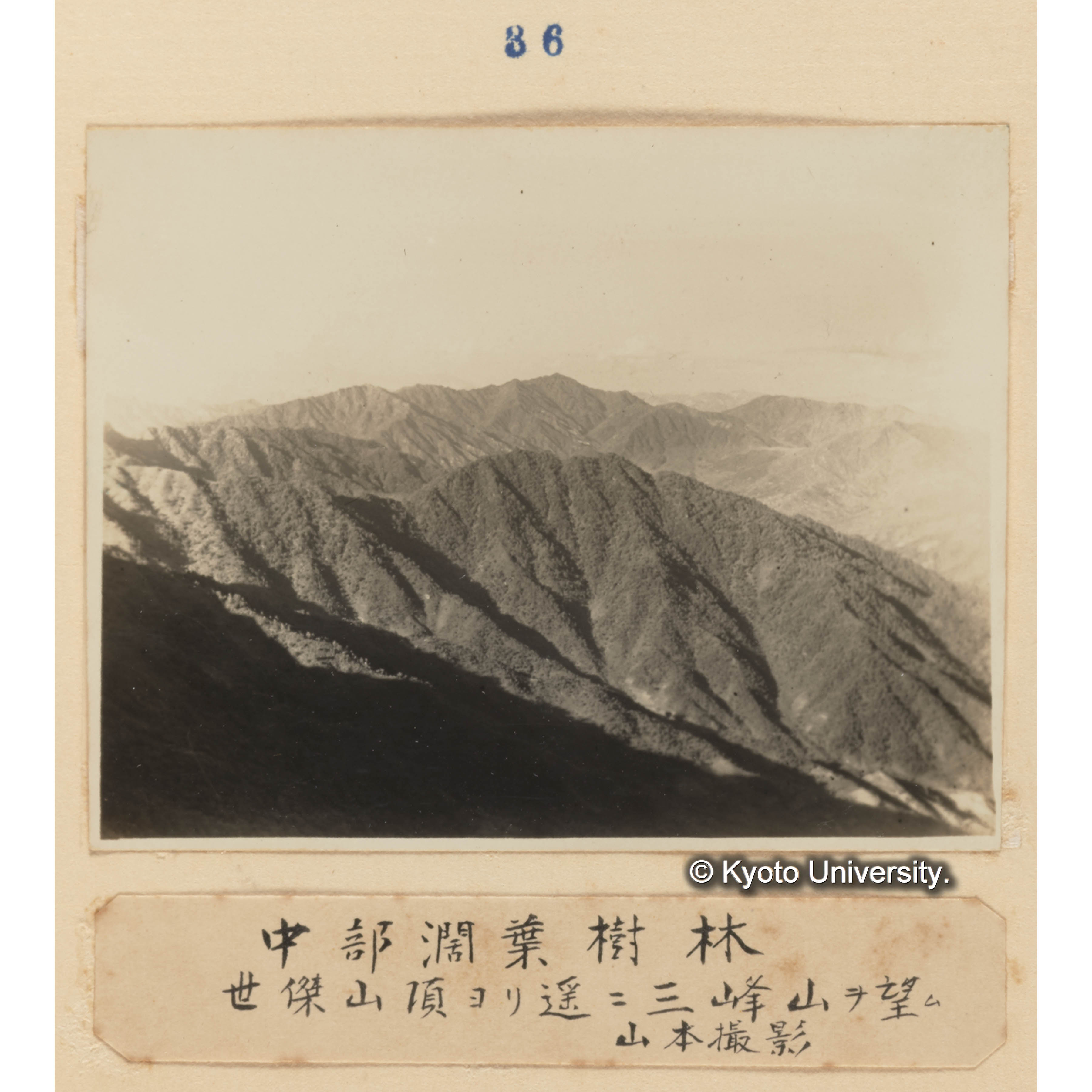 中部闊葉樹林／世傑山頂より遥に三峰山を望む　山本撮影 (1)