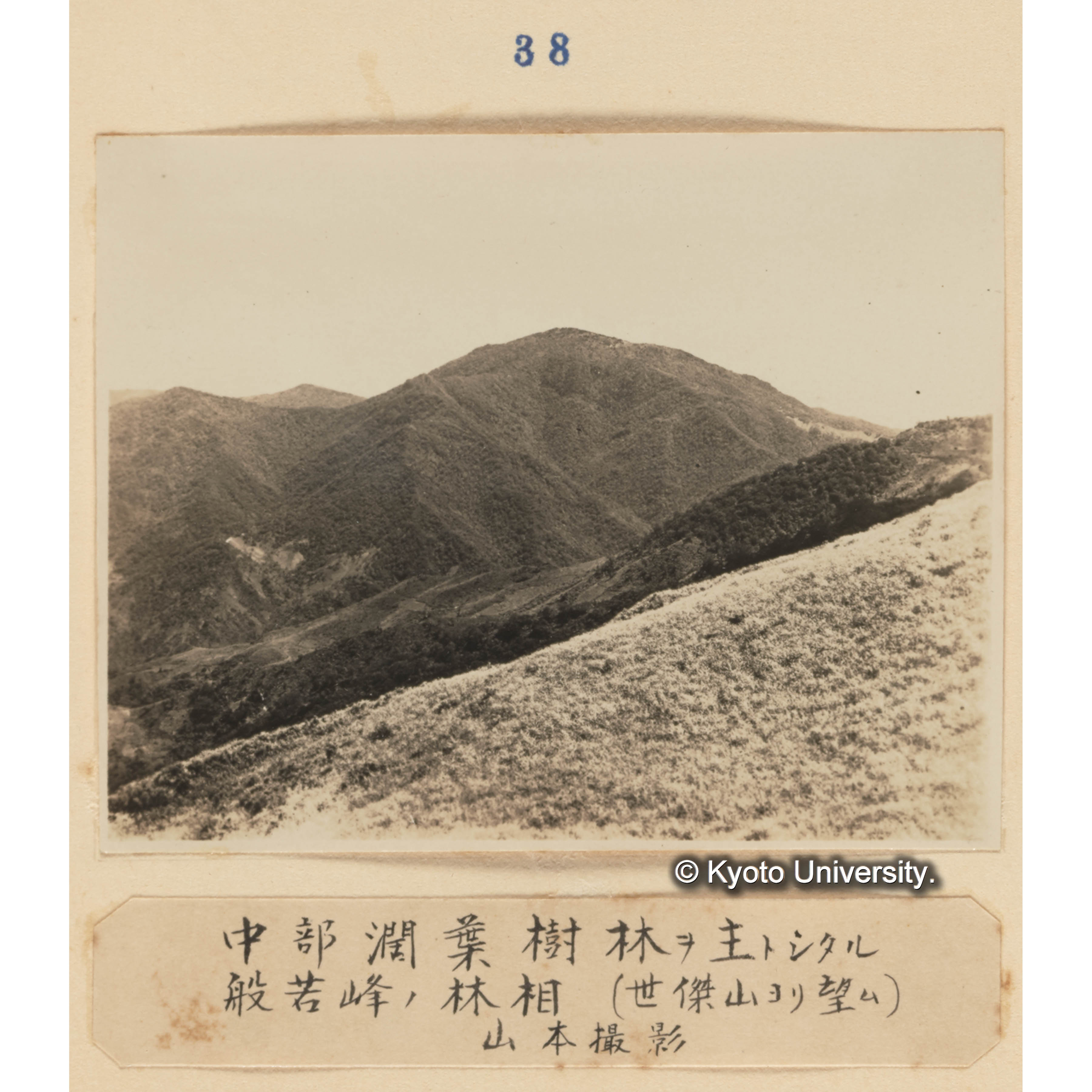 中部闊葉樹林を主としたる般若峰の林相（世傑山より望む）　山本撮影 (1)