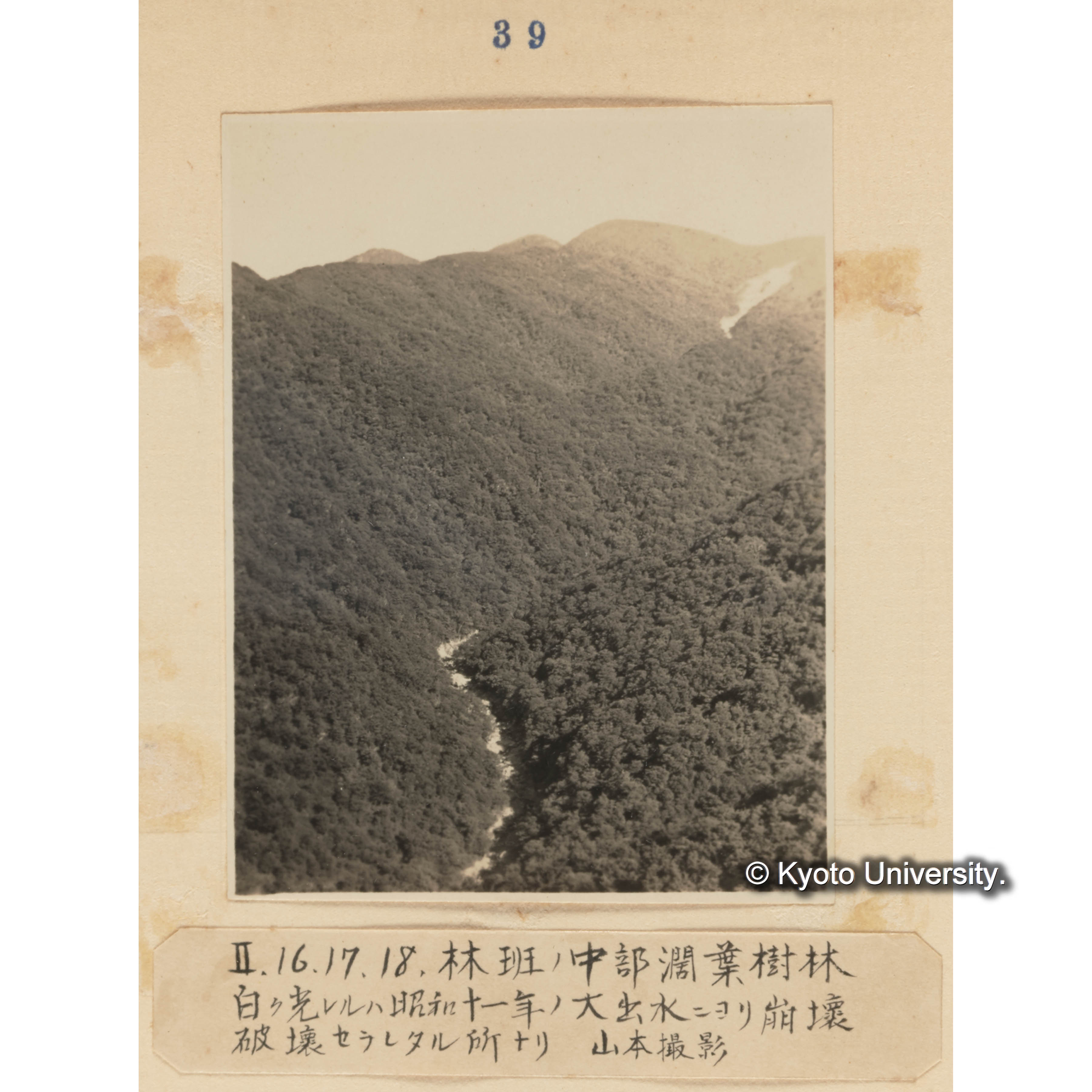 II、16、17、18、林班の中部闊葉樹林／白く光れるは昭和十一年の大出水により崩壊破壊せられたる所なり　山本撮影 (1)