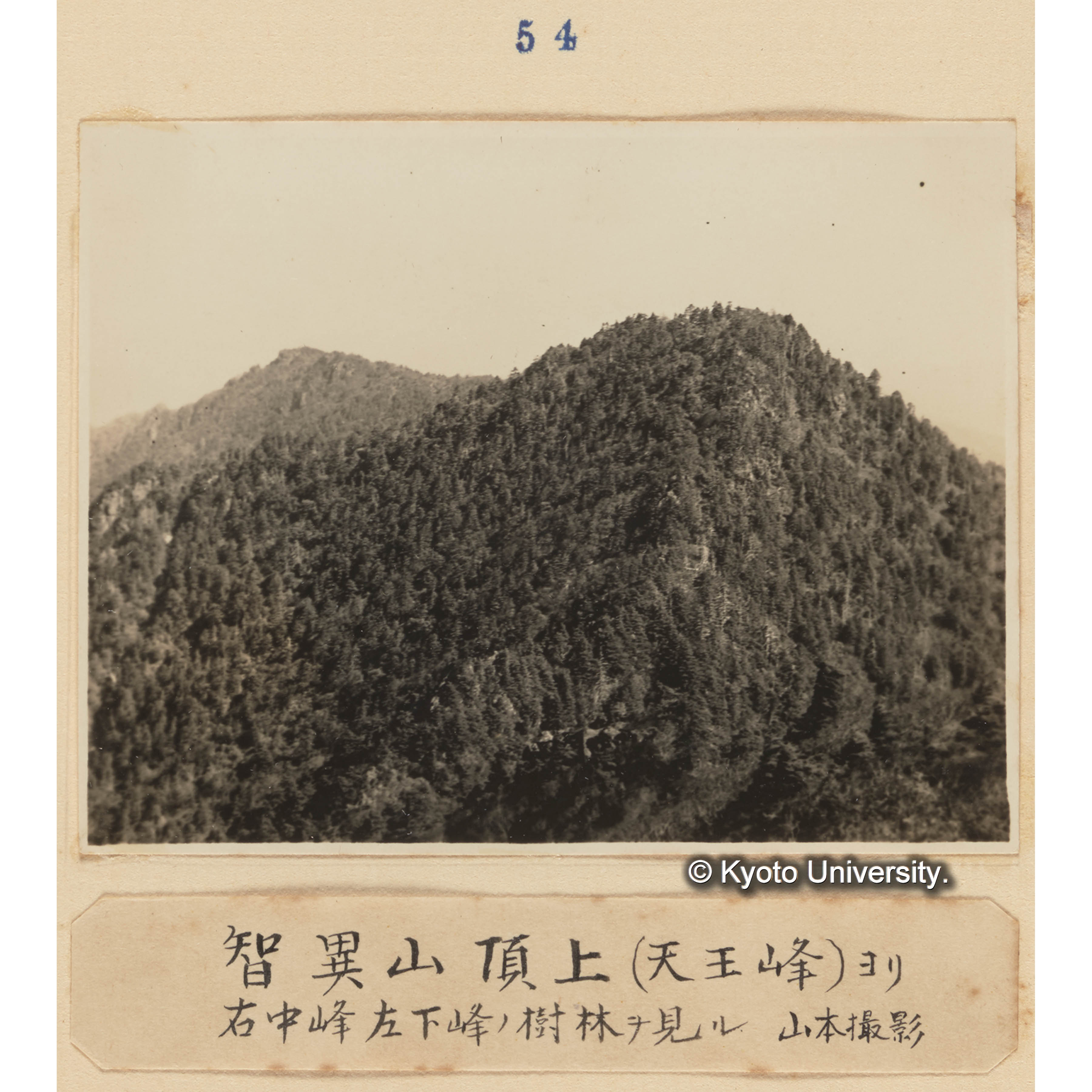 智異山頂上（天王峰）より／右中峰左下峰の樹林を見る　山本撮影 (1)