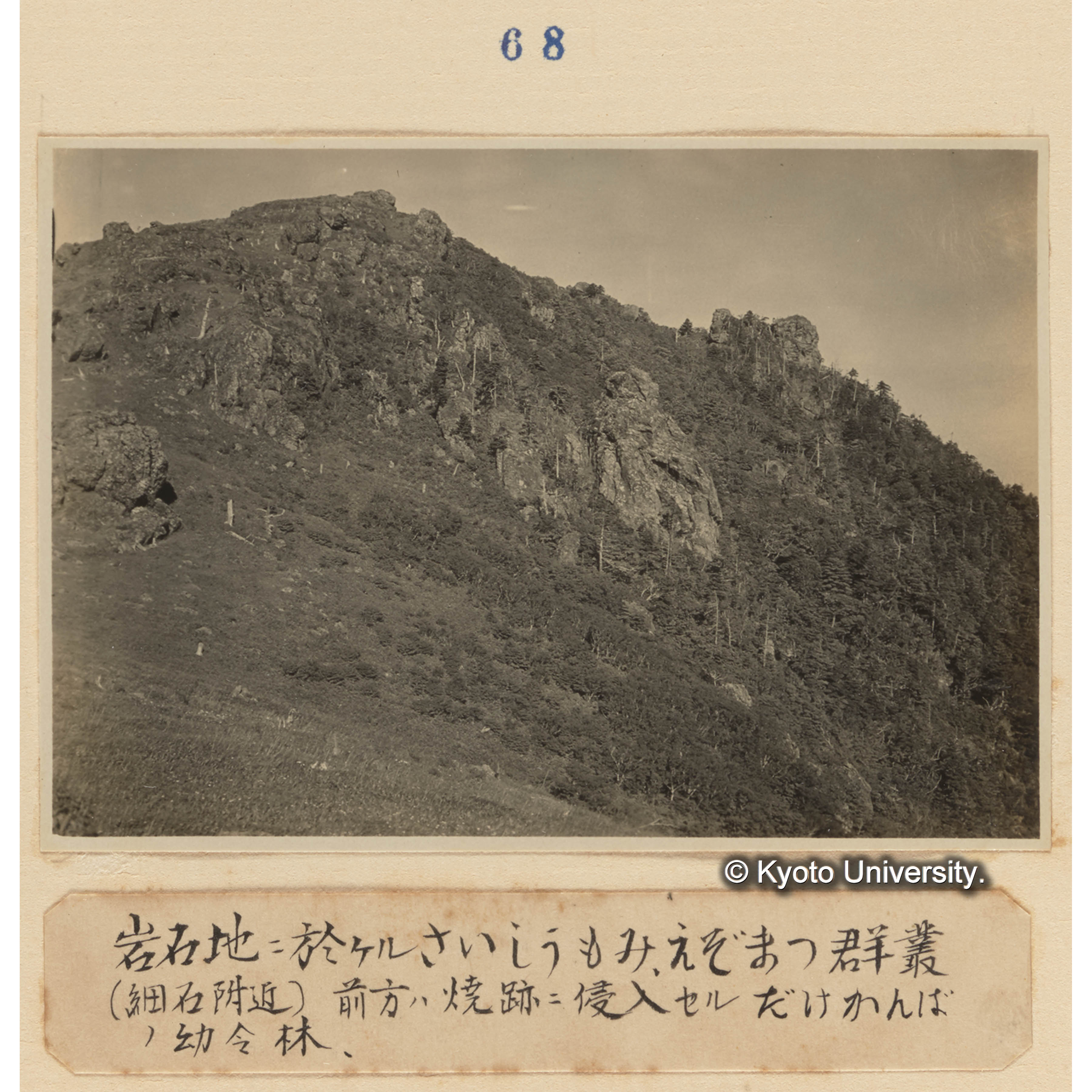 岩石地に於けるサイシュウモミ、エゾマツ群叢／（細石附近）前方は焼跡に侵入せるダケカンバの幼令林。 (1)