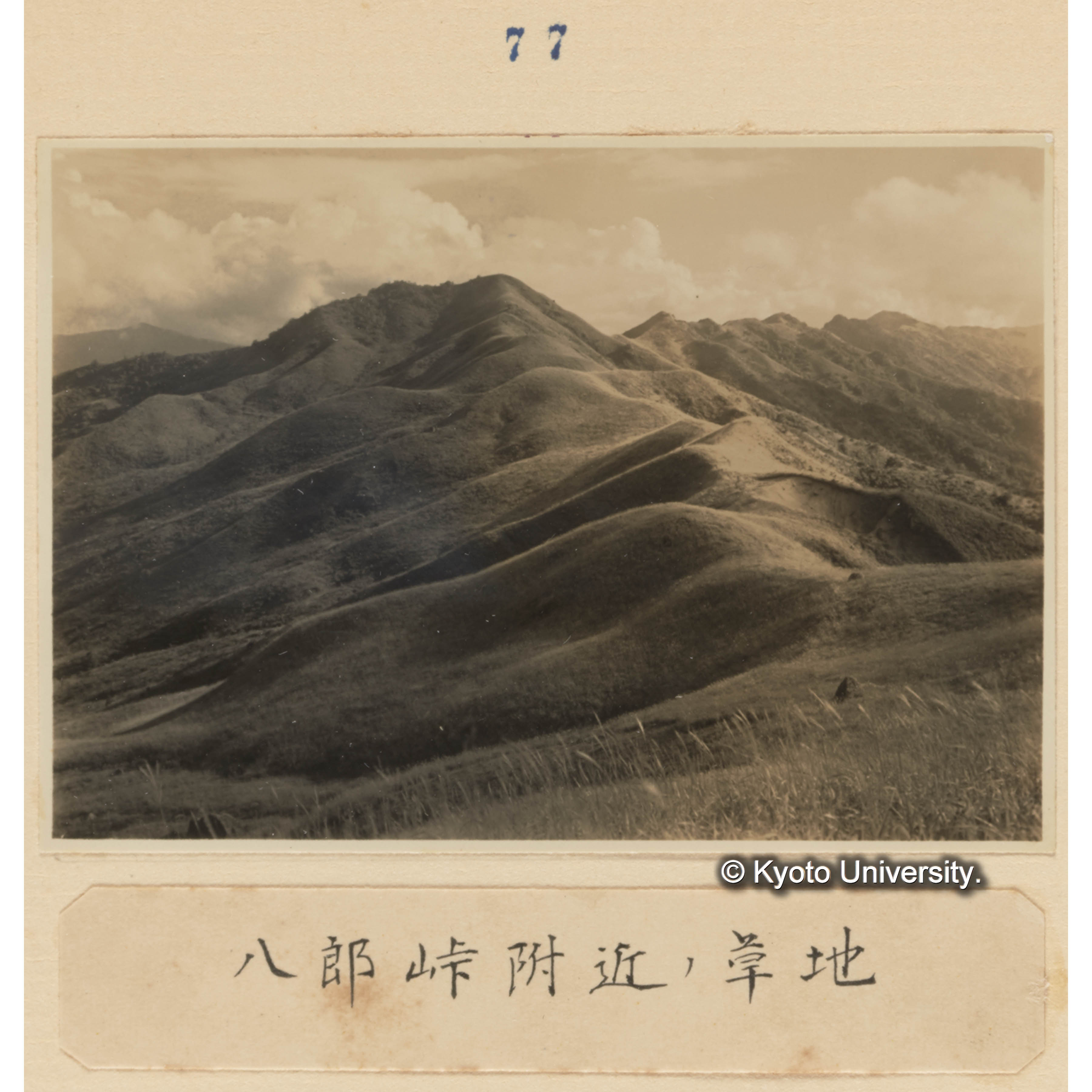 八郎峠附近の草地 (1)