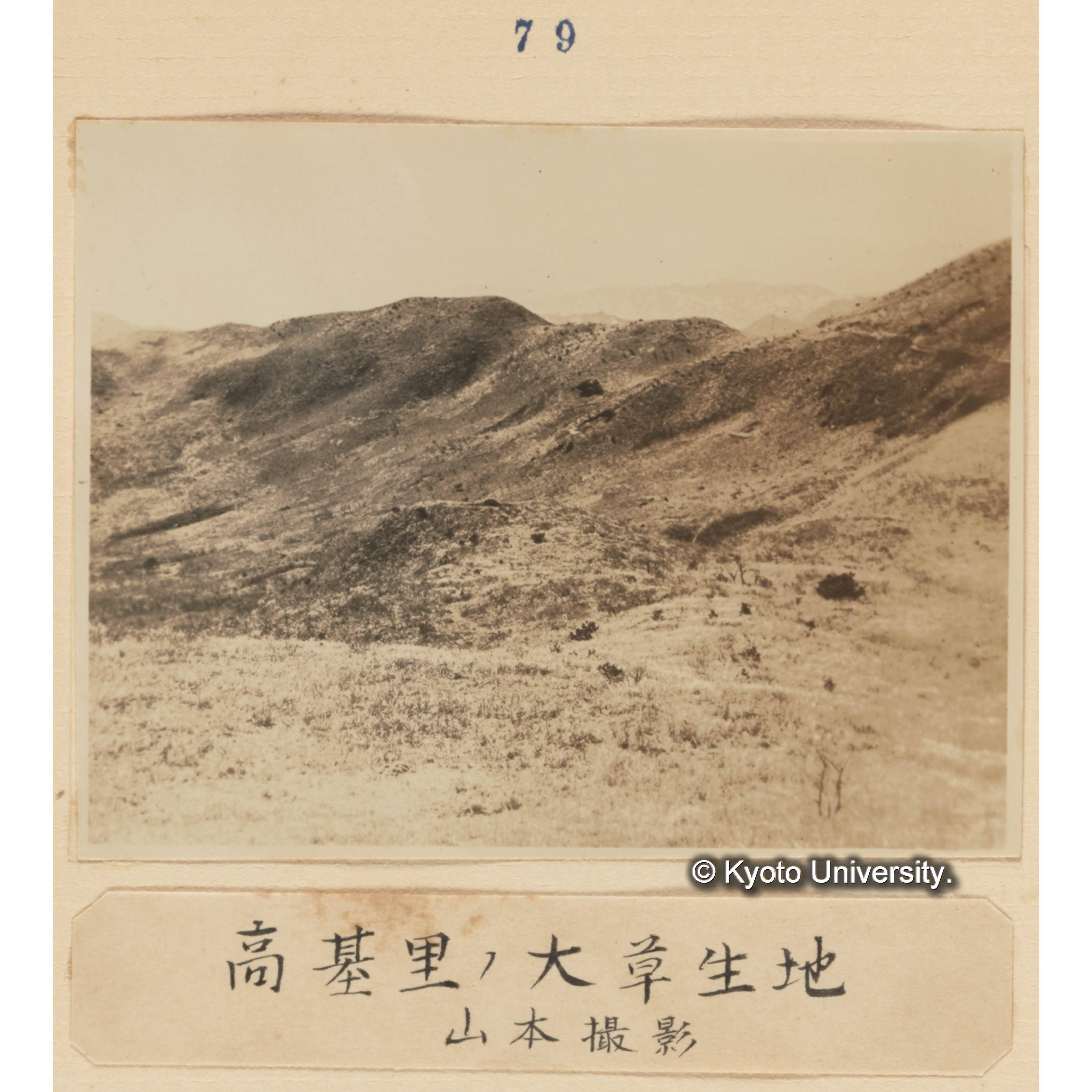 高基里の大草生地／山本撮影 (1)