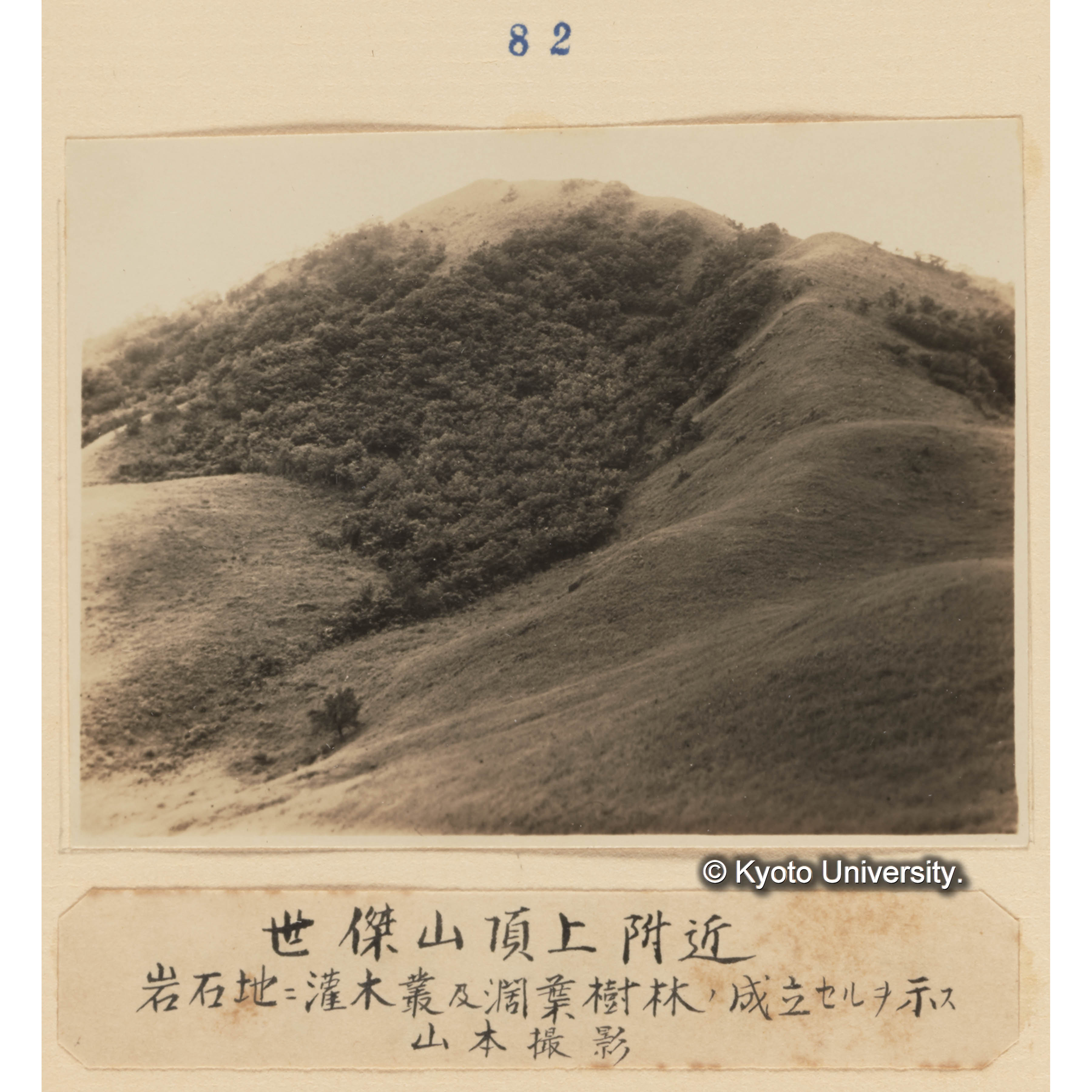 世傑山頂上附近／岩石地に灌木叢及闊葉樹林の成立せるを示す　山本撮影 (1)