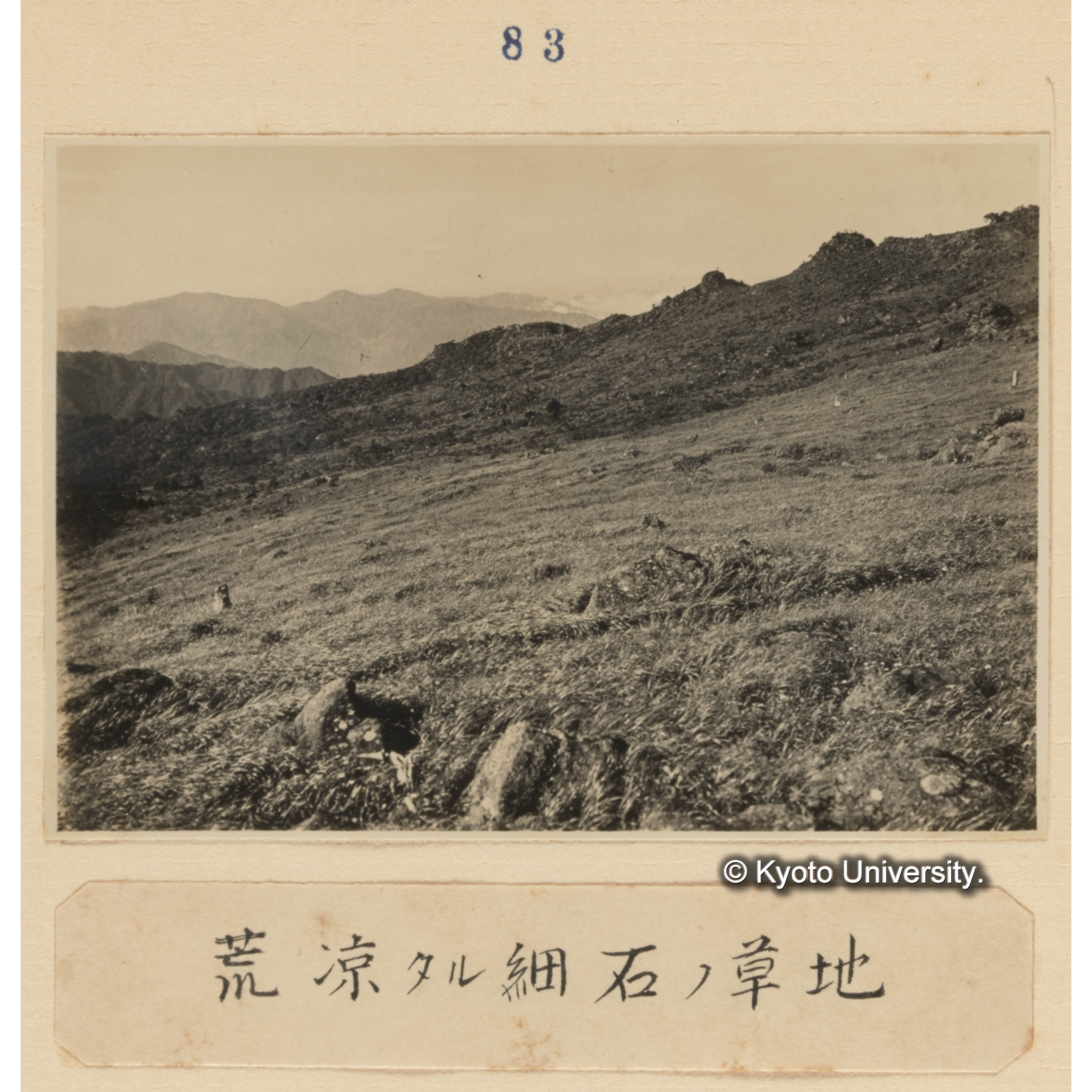 荒涼たる細石の草地 (1)