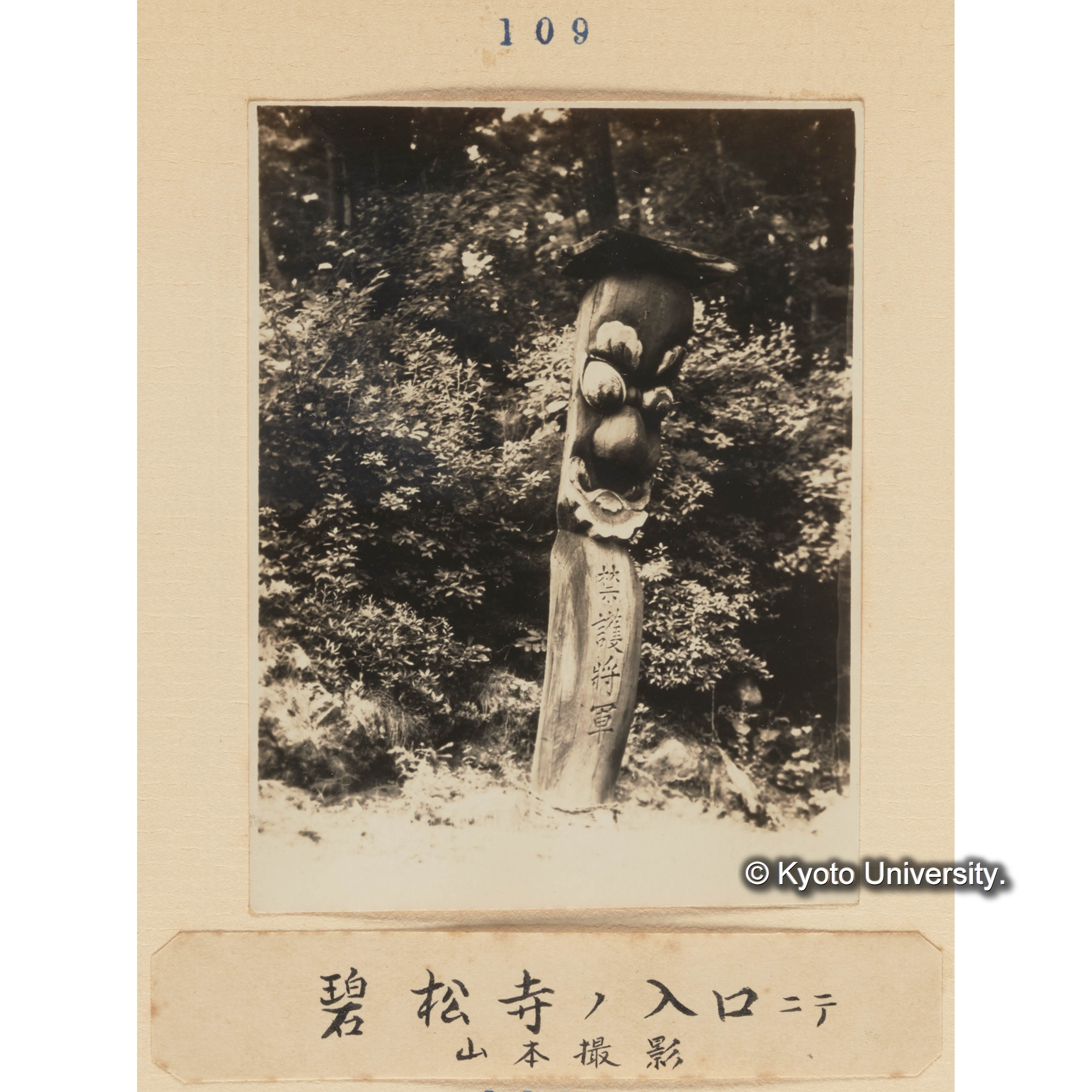 碧松寺の入口にて／山本撮影 (1)