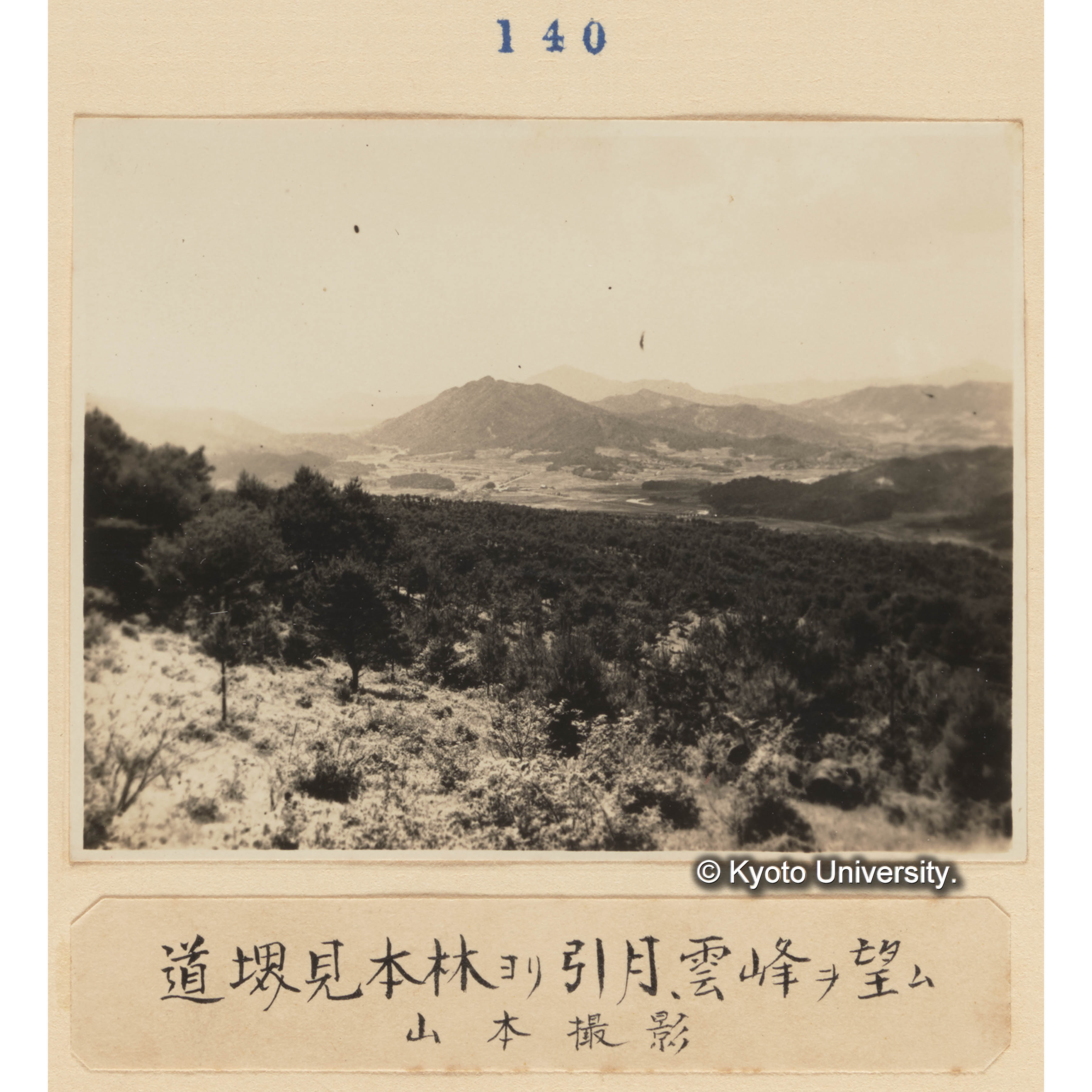 道堺見本林より引月、雲峰を望む／山本撮影 (1)