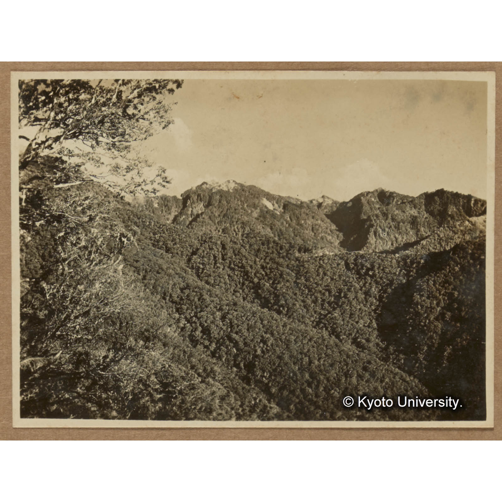 卑南主山（渓南山東草生地より） (1)