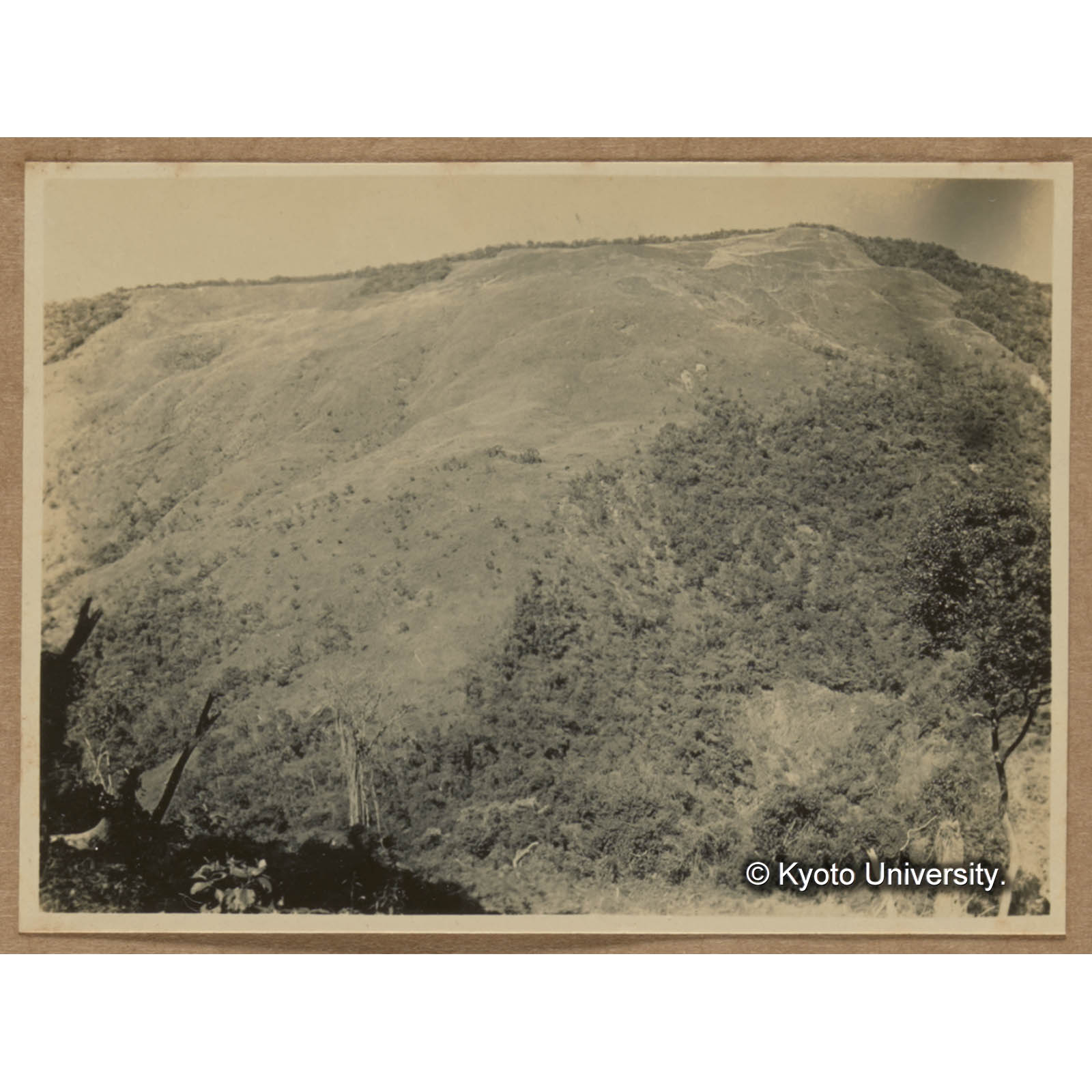 三合渓，規那造林地より大原を望む (1)