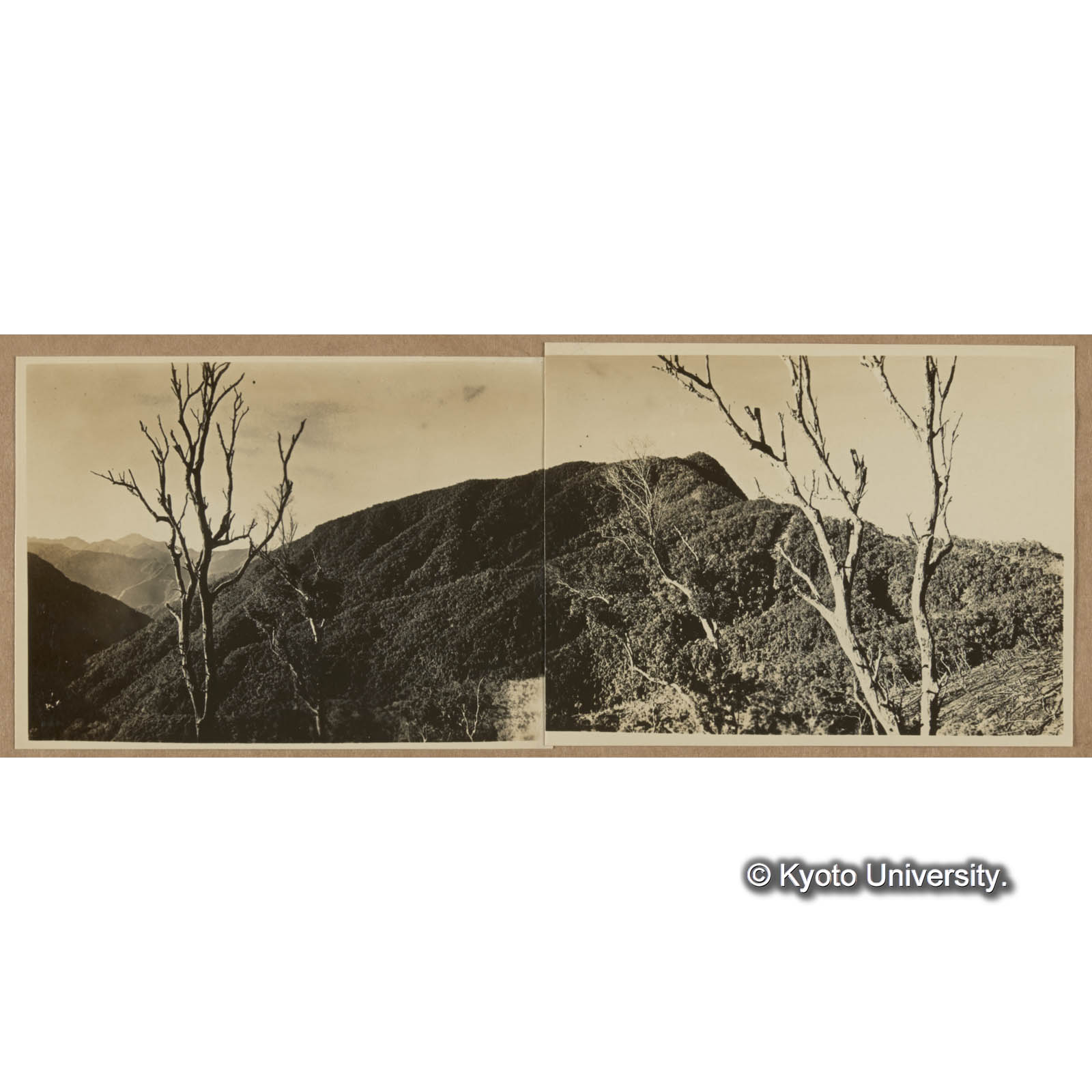 見付駐在所より鳳崗山を望む (1)