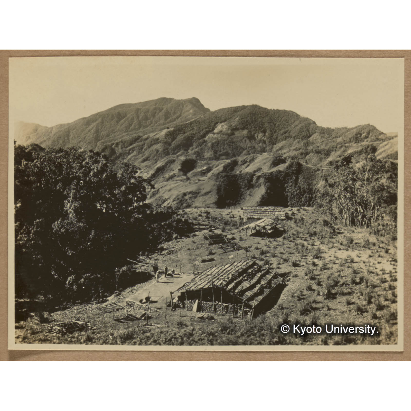 渓南山駐在所下の藩舎より鳳岡山および朝日山を望む。近景株状を呈する潅木は焼かれても焼かれても根気良く萌芽してくるキンモウツツジである (1)