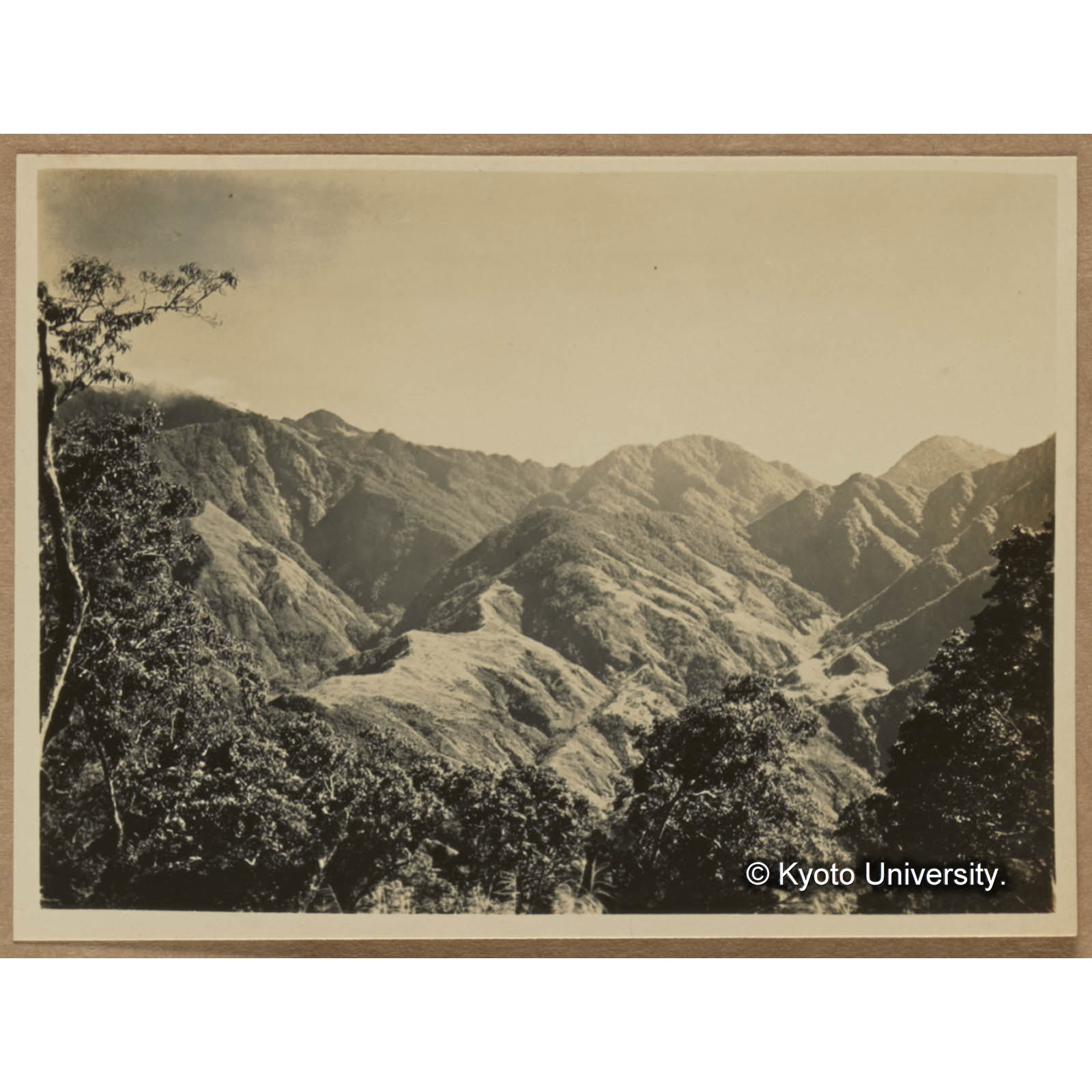 濁口渓上流の植相。左方煙の上がるは狩猟のため藩人が草生地に火を放ったものである。その下の岩石の露出する絶壁は1事業区30林班内のものである (1)