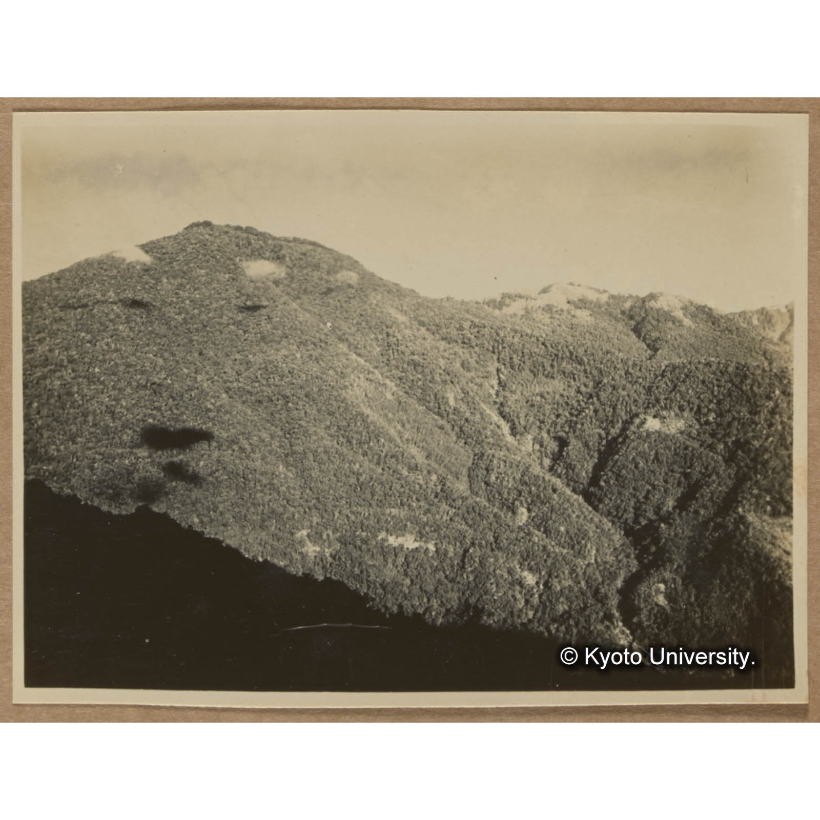 頭剪山駐在所付近から見た渓南山および石山。写真のほぼ中央部に林相の異なる一画がある。そこはタイワンハンノキの純林である (1)