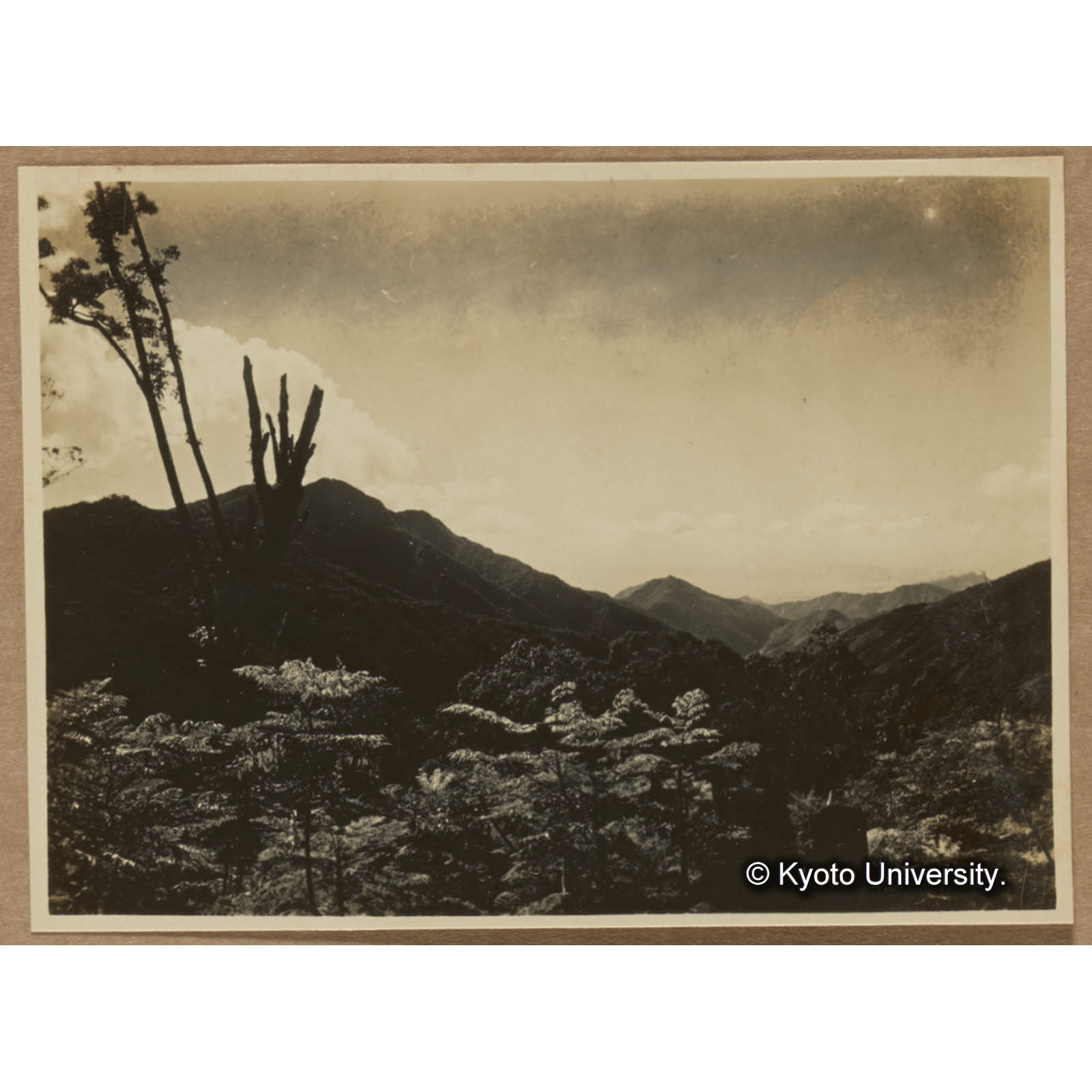 藤枝駐在所付近より南方を望む。近景ウラジロタラノキ。左方に見ゆるは鳳崗山 (1)