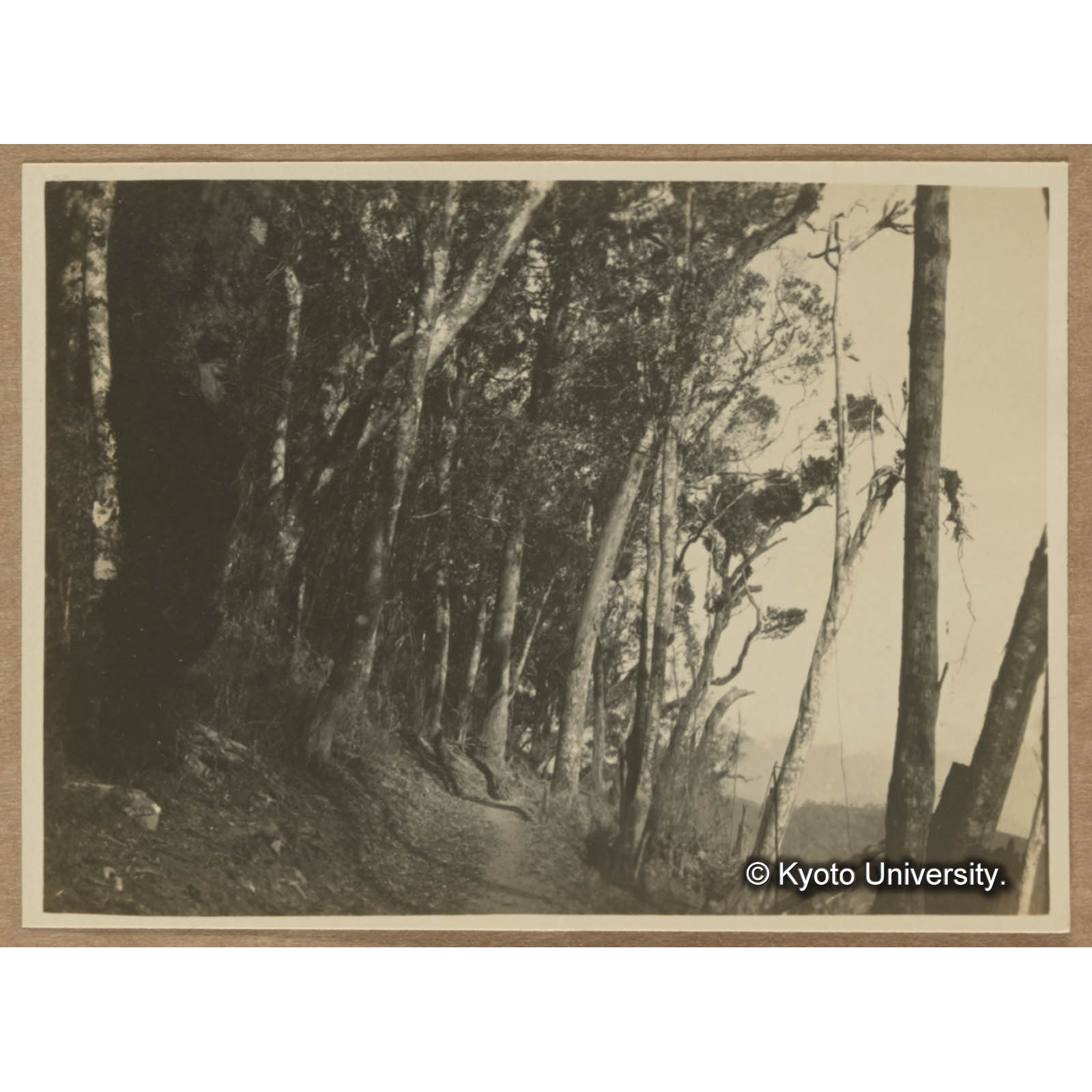 写真71焼跡の上部界である（藤枝付近） (1)