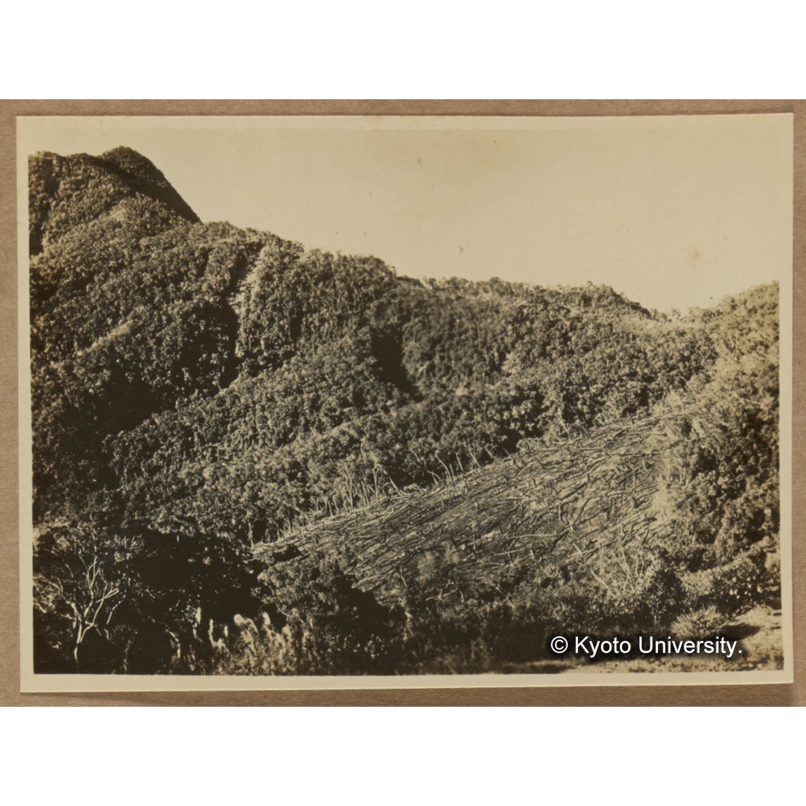 見付駐在所前の焼跡。左端の峯は鳳崗山 (1)