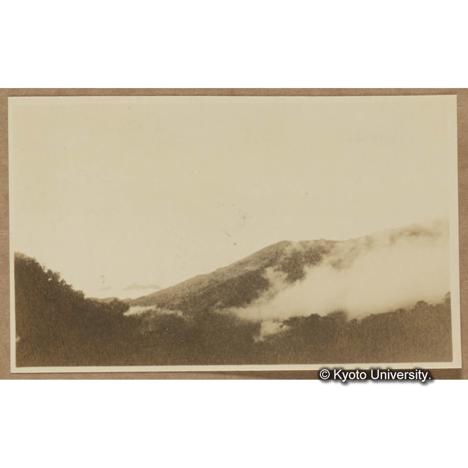 扇平苗圃より大原を望む (1)