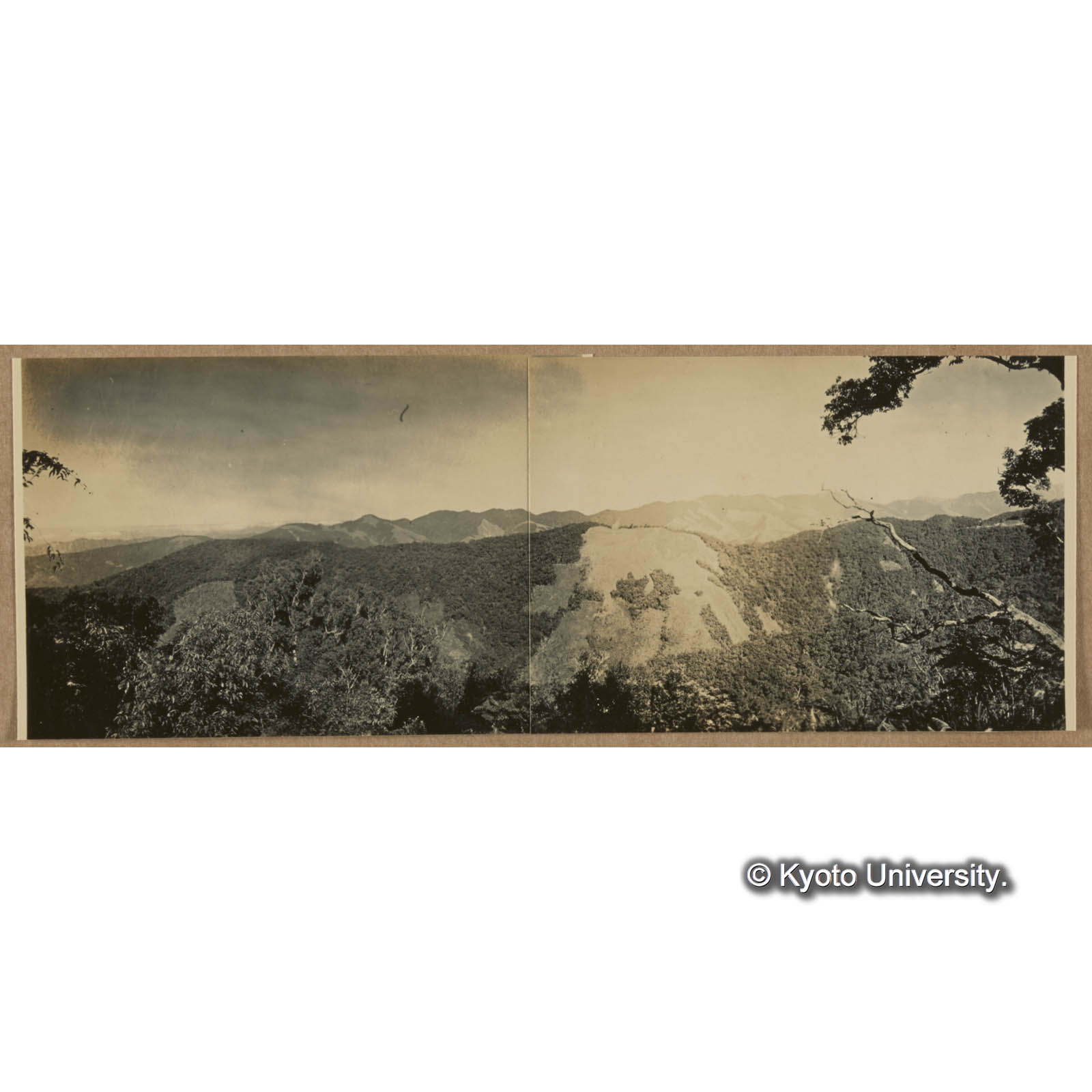 朝日山北肩より見たる藤枝，中心崙間の植相。中央には拡き草生地，左端には六角形の焼跡が見える。右端に僅かに伐採された一区画があるがそれは藤枝駐在所である (1)