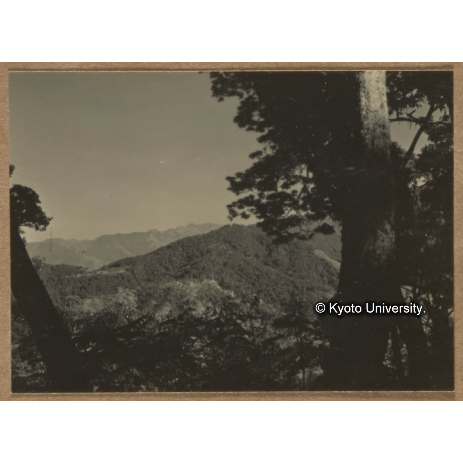 朝日山北肩より新高を望む (1)