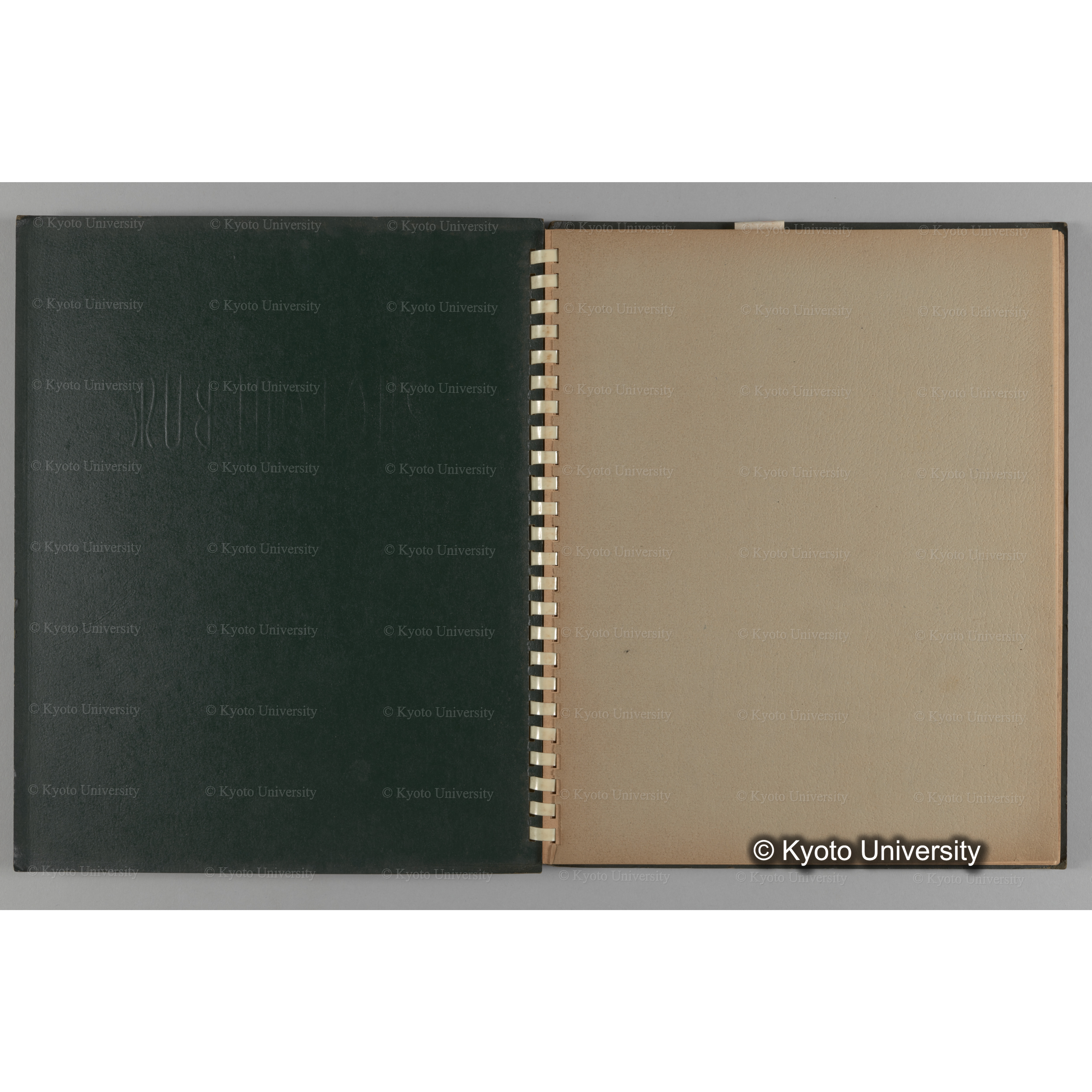 [国内演習林緑アルバム1957(緑色表紙)] PHOTO ALBUM (ラベル)「No.2 芦生演習林」. (2)