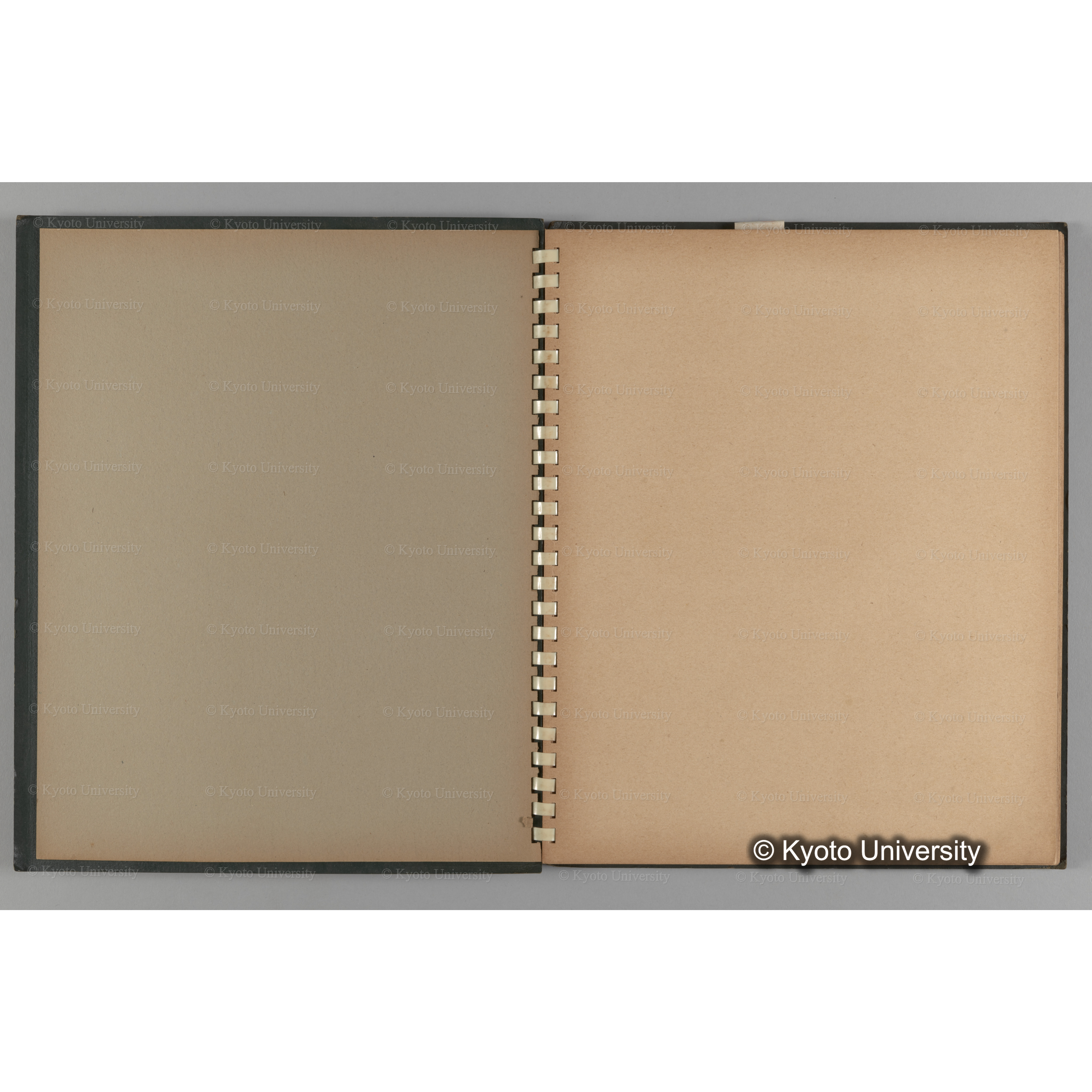 [国内演習林緑アルバム1957(緑色表紙)] PHOTO ALBUM (ラベル)「No.2 芦生演習林」. (3)