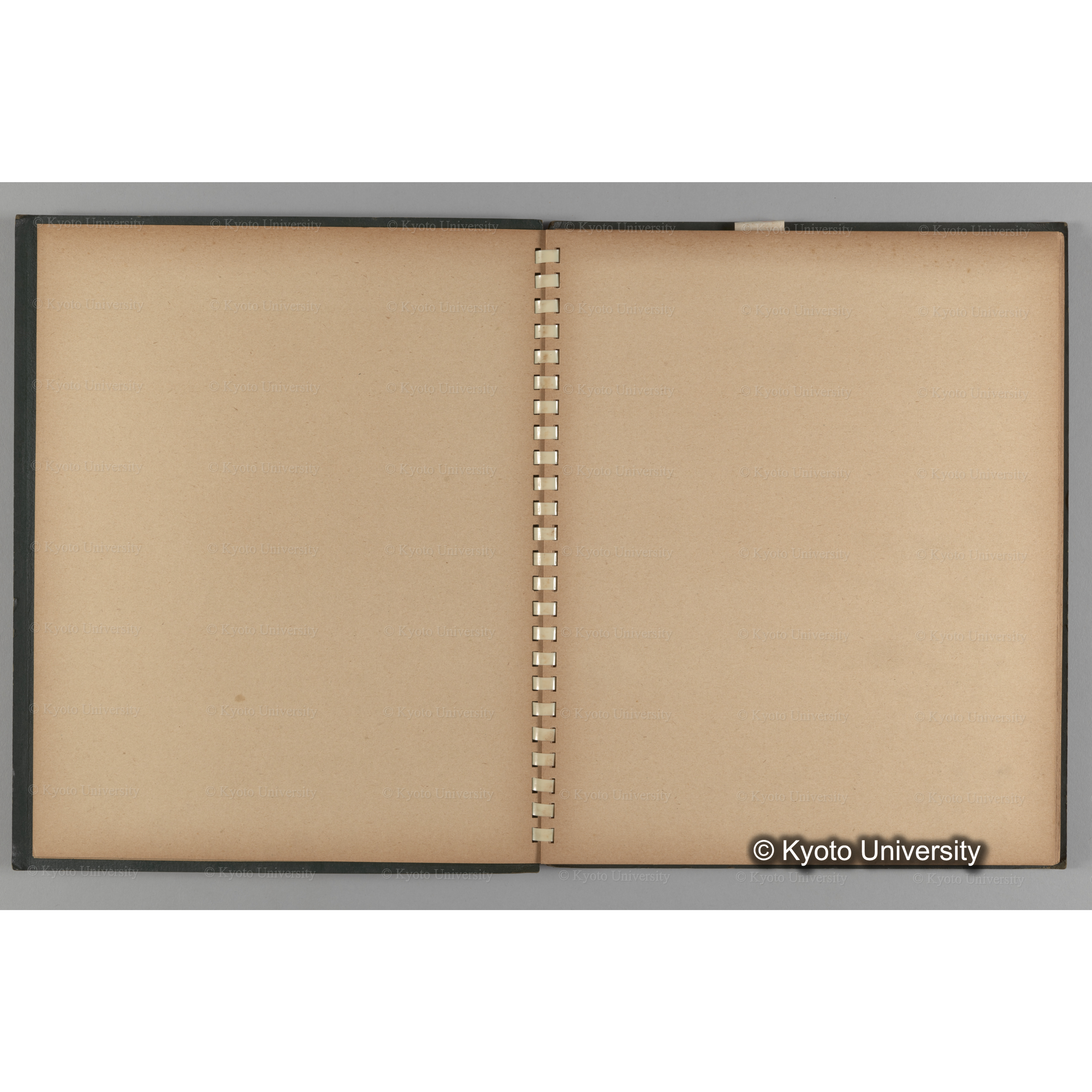 [国内演習林緑アルバム1957(緑色表紙)] PHOTO ALBUM (ラベル)「No.2 芦生演習林」. (4)