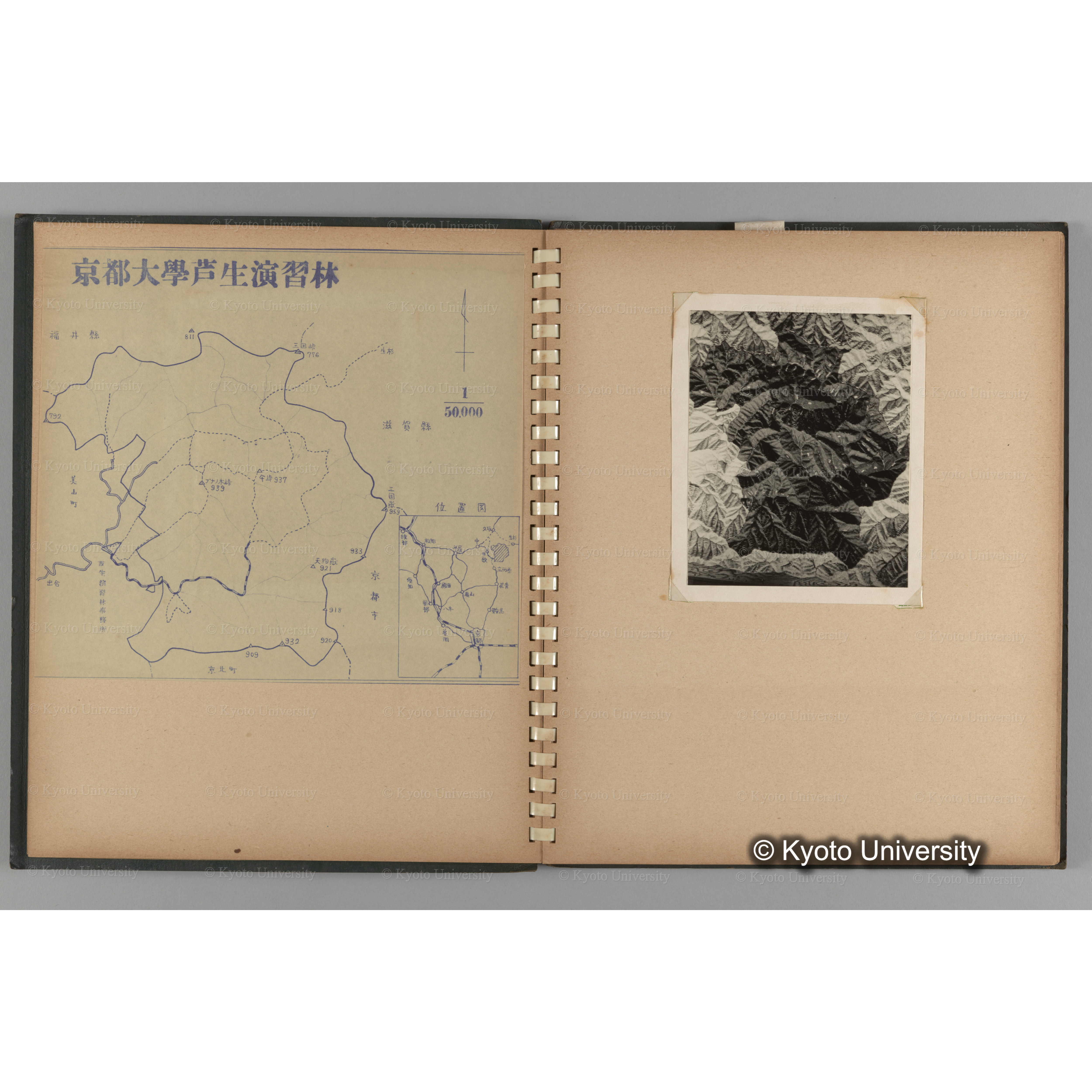 [国内演習林緑アルバム1957(緑色表紙)] PHOTO ALBUM (ラベル)「No.2 芦生演習林」. (5)