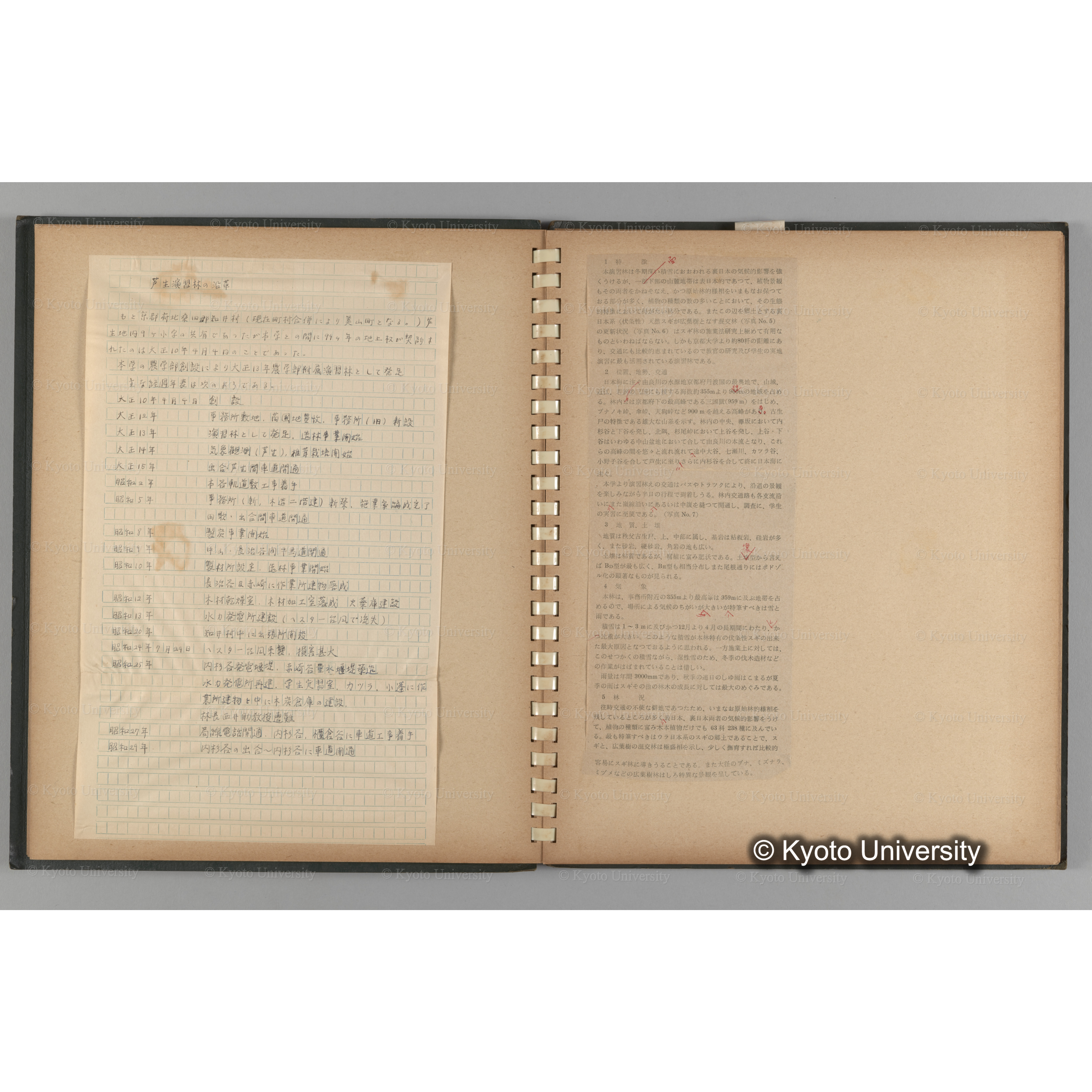 [国内演習林緑アルバム1957(緑色表紙)] PHOTO ALBUM (ラベル)「No.2 芦生演習林」. (6)