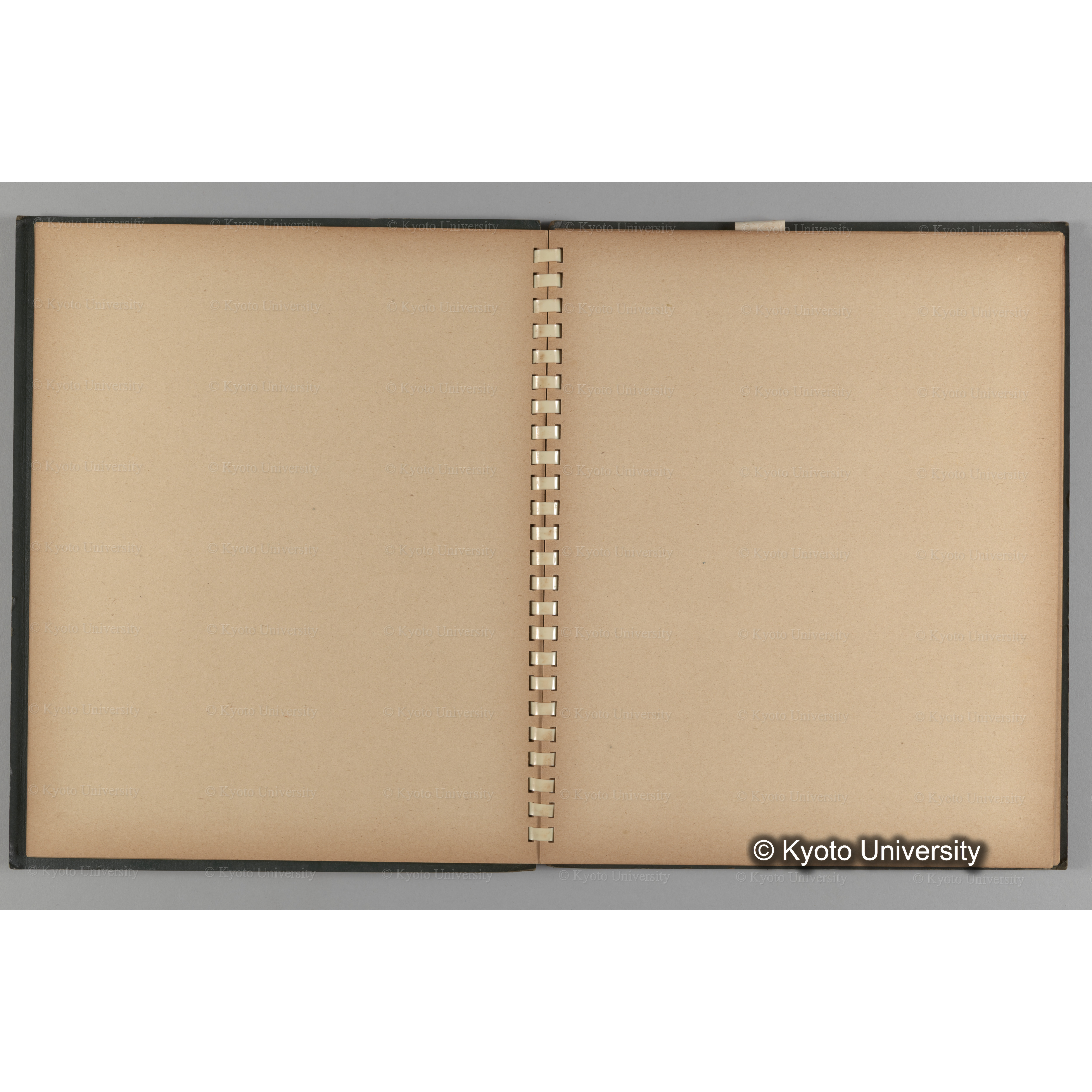 [国内演習林緑アルバム1957(緑色表紙)] PHOTO ALBUM (ラベル)「No.2 芦生演習林」. (7)