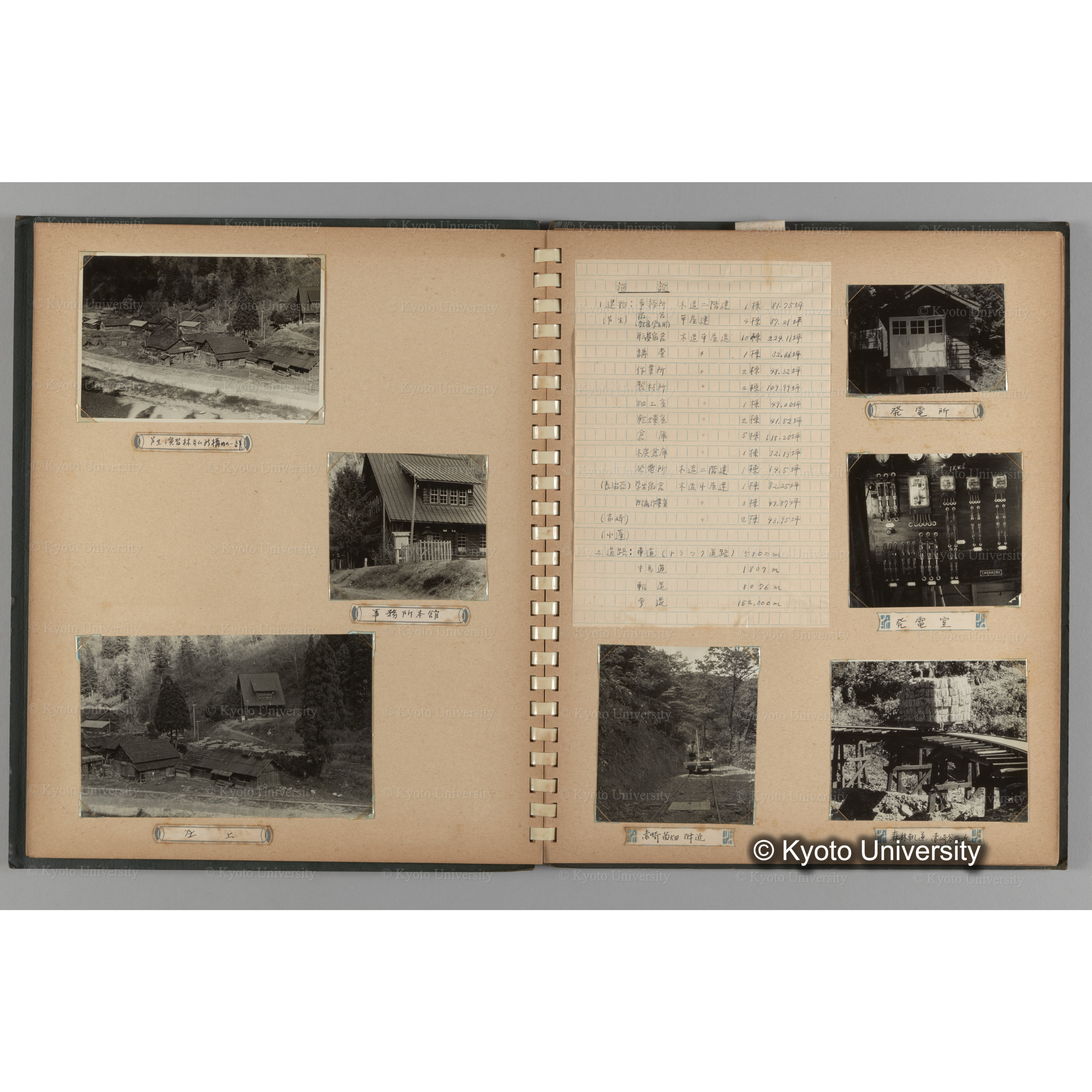 [国内演習林緑アルバム1957(緑色表紙)] PHOTO ALBUM (ラベル)「No.2 芦生演習林」. (8)