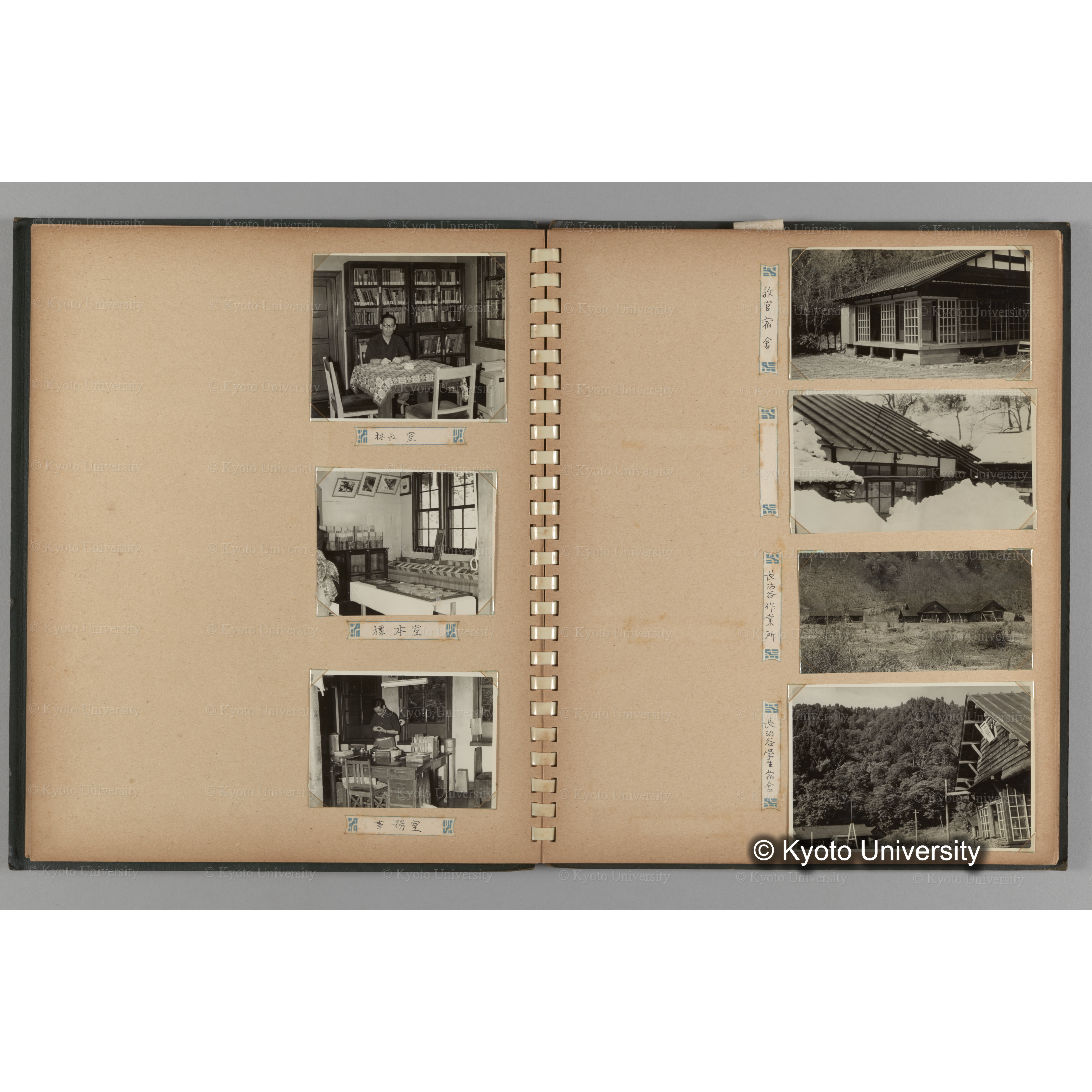 [国内演習林緑アルバム1957(緑色表紙)] PHOTO ALBUM (ラベル)「No.2 芦生演習林」. (9)