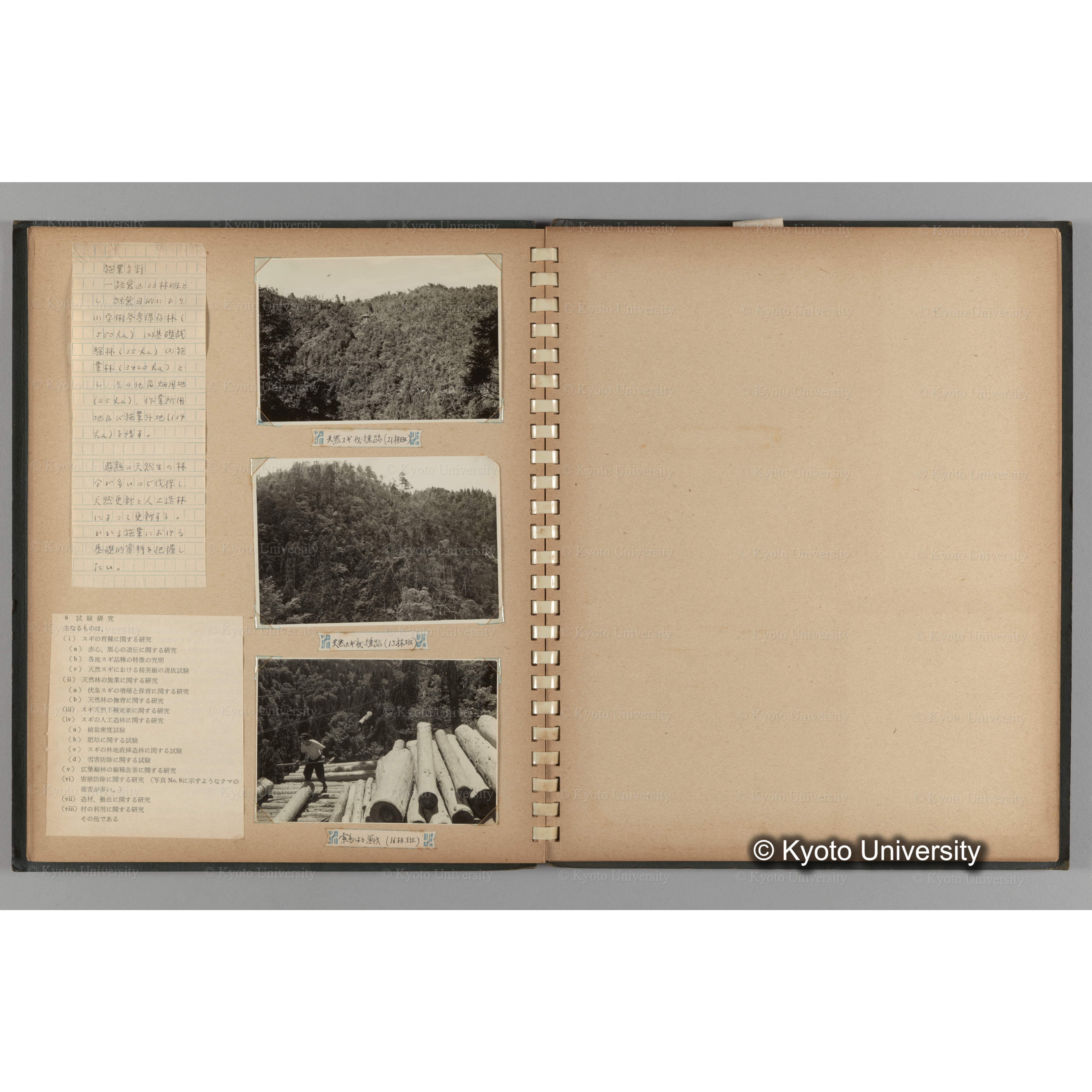 [国内演習林緑アルバム1957(緑色表紙)] PHOTO ALBUM (ラベル)「No.2 芦生演習林」. (11)